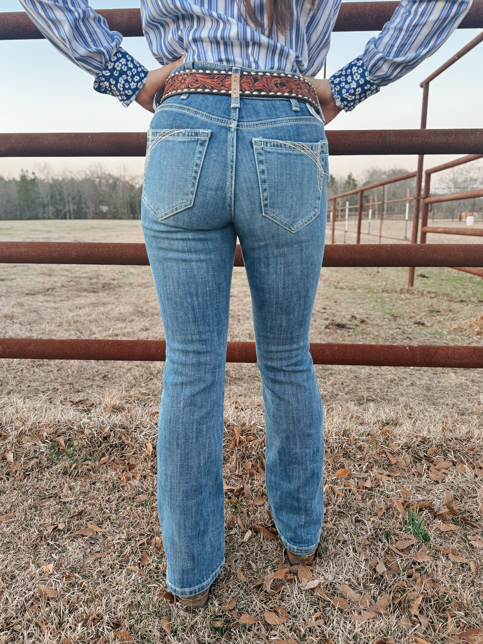 Ariat Women's Perfect Rise Naz Boot Cut Jeans