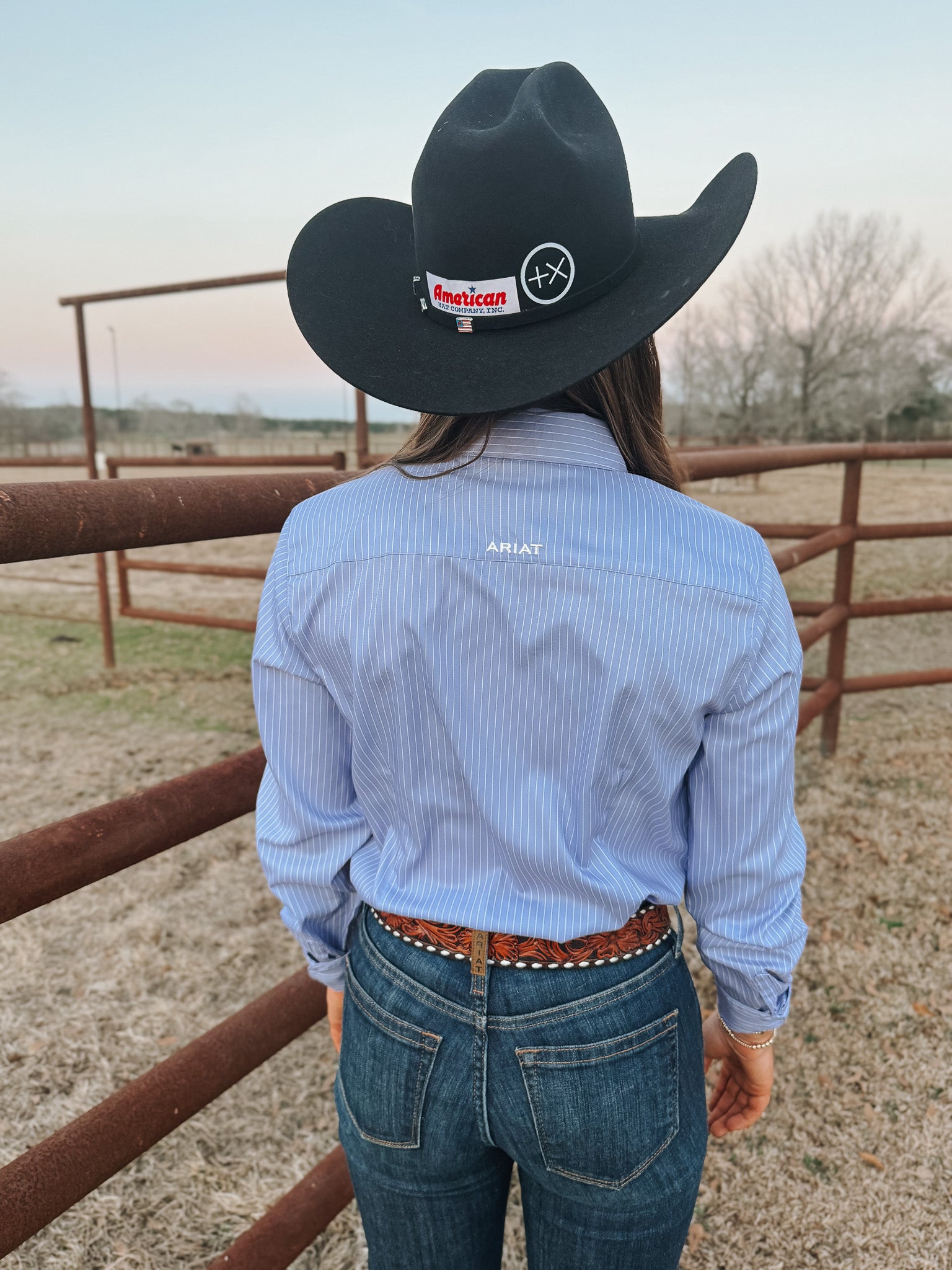Women's Ariat Kirby Pro Shirt in Sweet Lavender Stripe