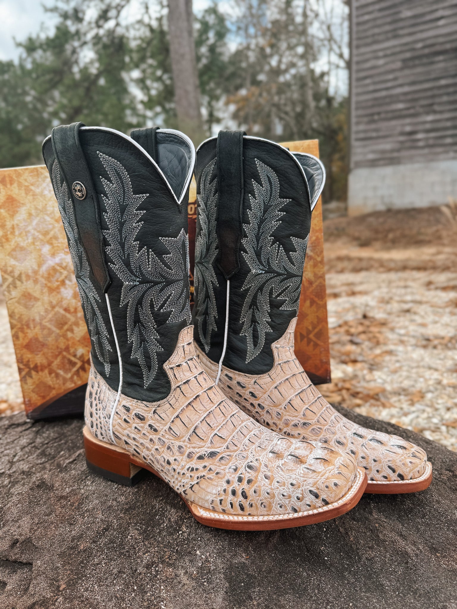 Tanner Mark Men's Caiman Hornback Print Square Toe Boots in Natural