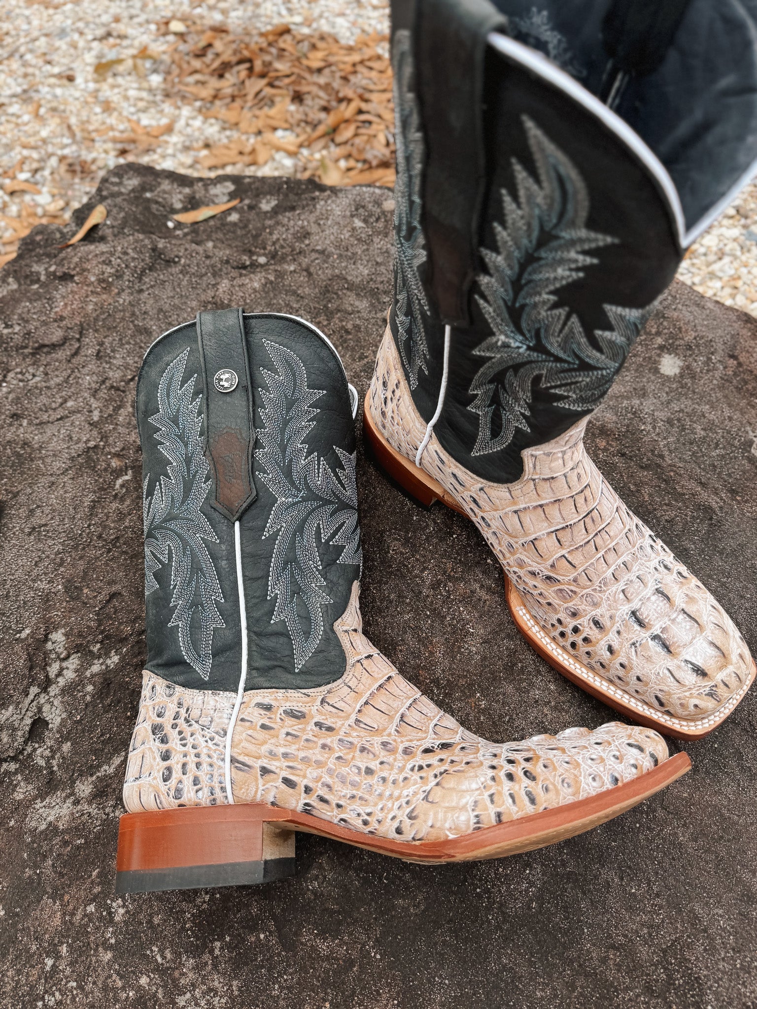 Tanner Mark Men's Caiman Hornback Print Square Toe Boots in Natural