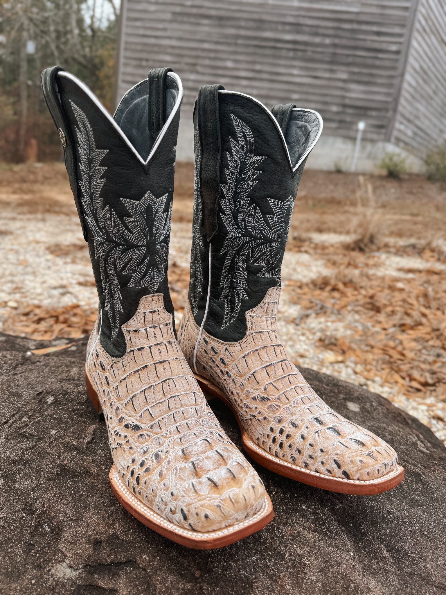 Tanner Mark Men's Caiman Hornback Print Square Toe Boots in Natural