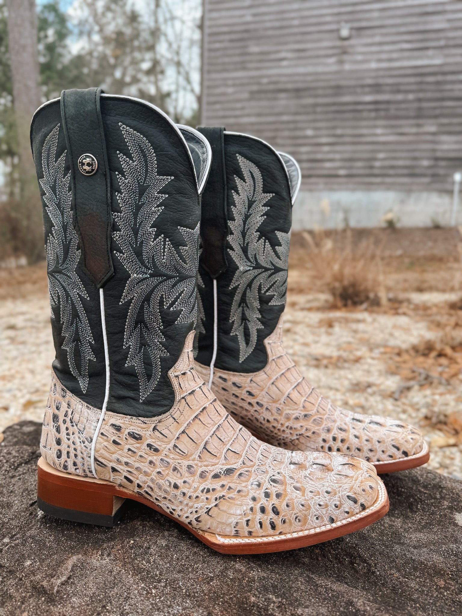 Tanner Mark Men's Caiman Hornback Print Square Toe Boots in Natural