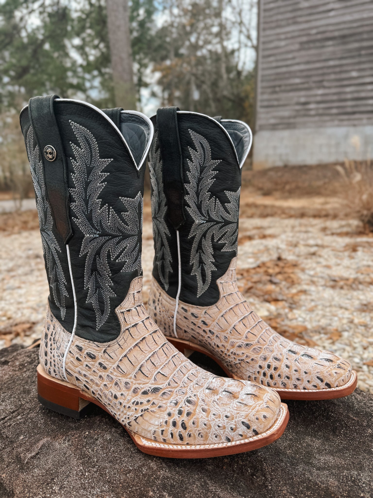 Tanner Mark Men's Caiman Hornback Print Square Toe Boots in Natural