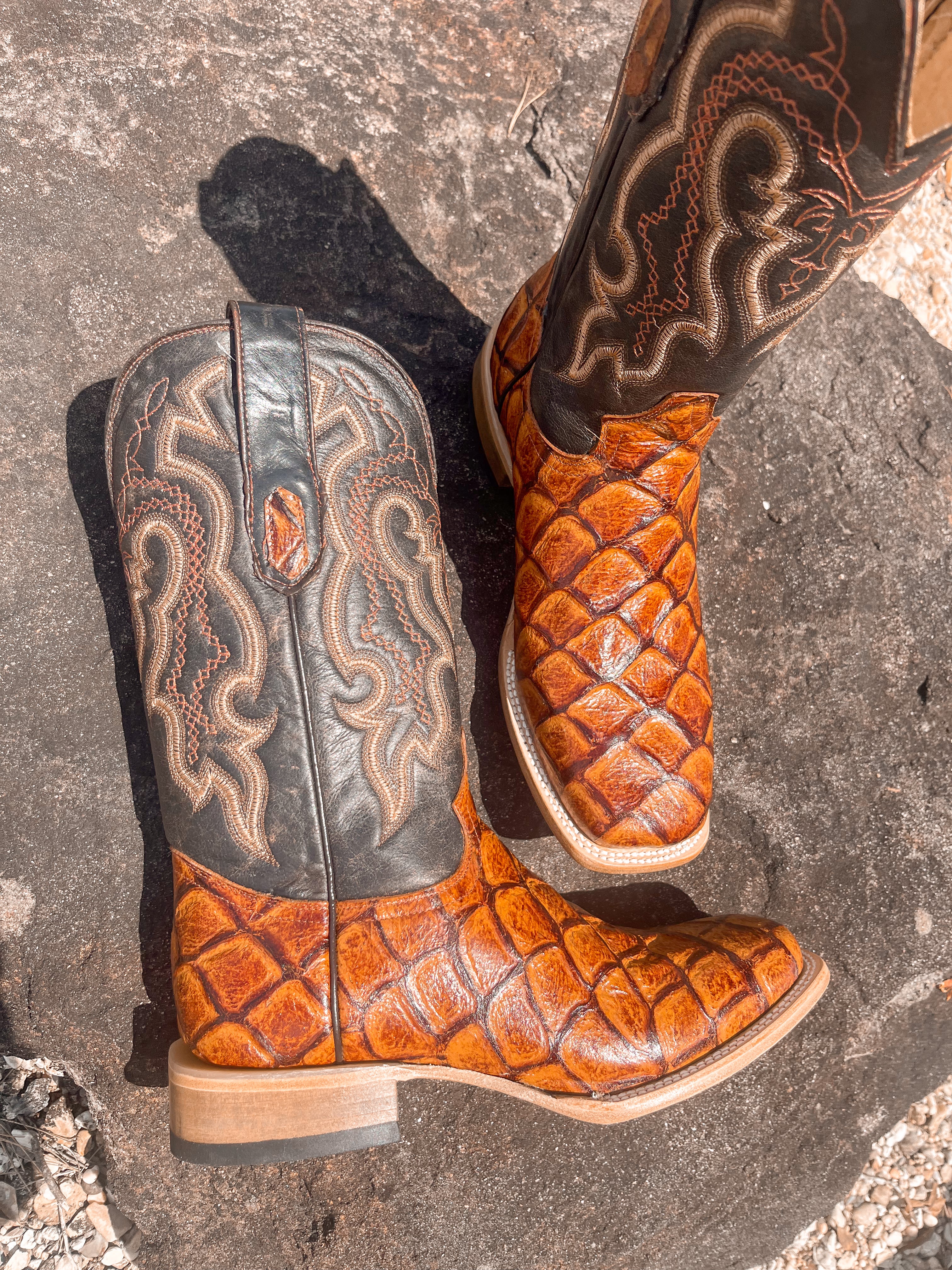 Bota con estampado de peces Cowtown Cognac para hombre