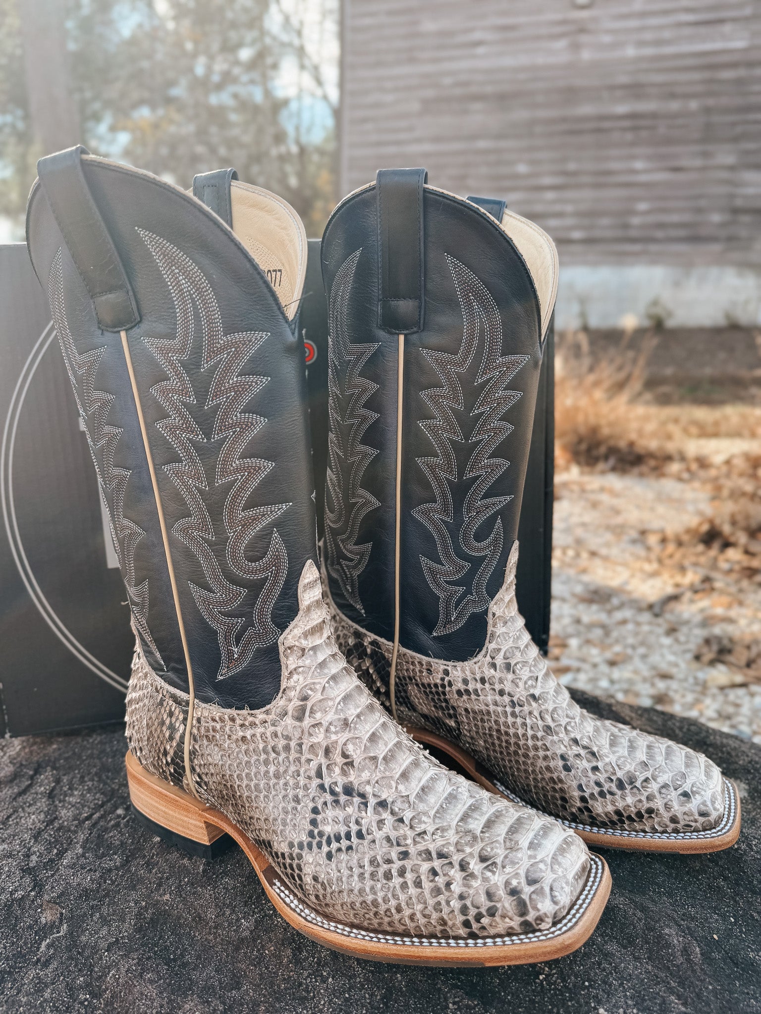 Men's Horse Power Top Hand Back Cut Python Boot