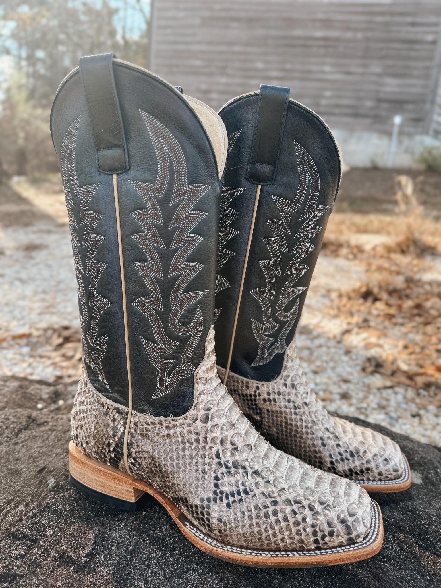 Men's Horse Power Top Hand Back Cut Python Boot