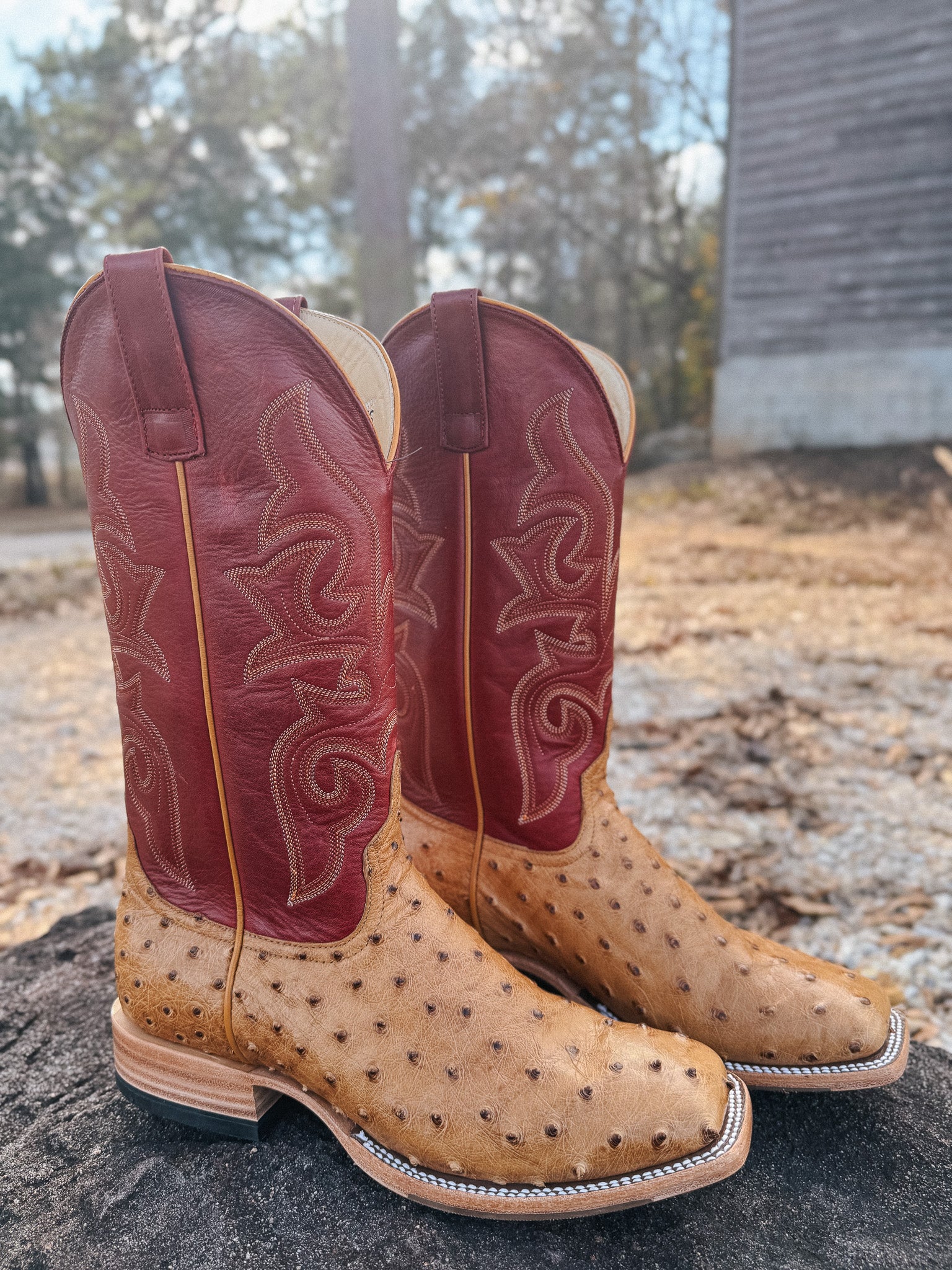 Men's Horse Power Red Station Antique Saddle Full Quill Ostrich Boots