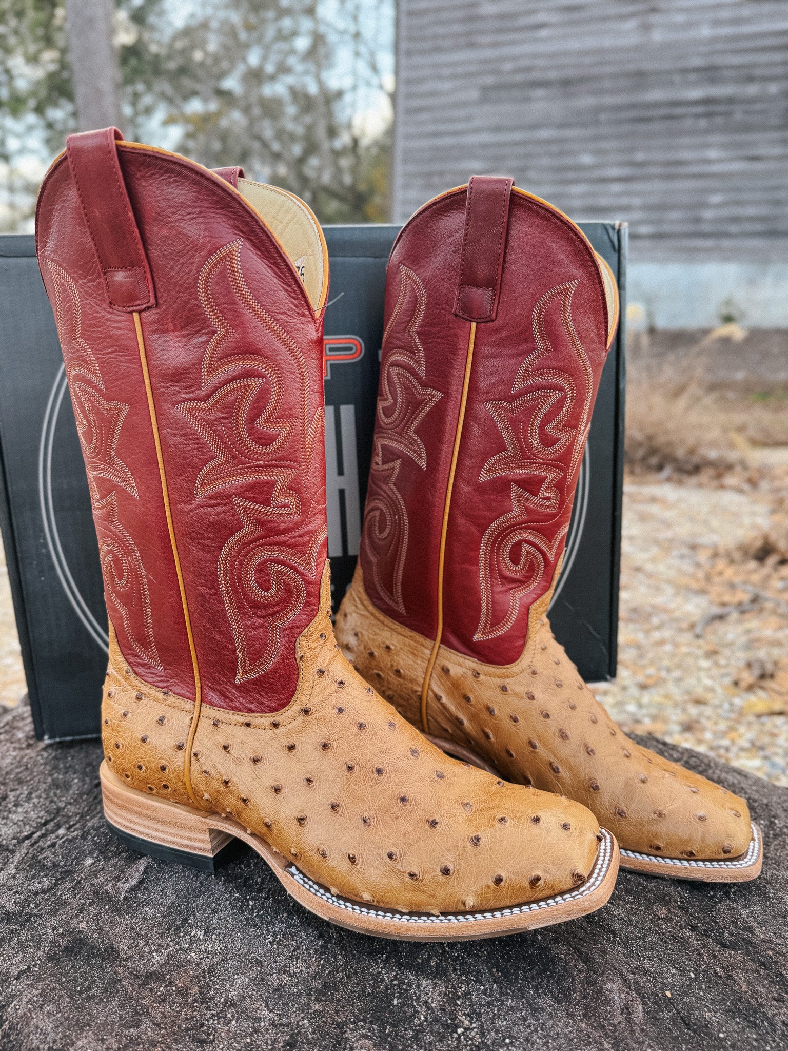 Men's Horse Power Red Station Antique Saddle Full Quill Ostrich Boots