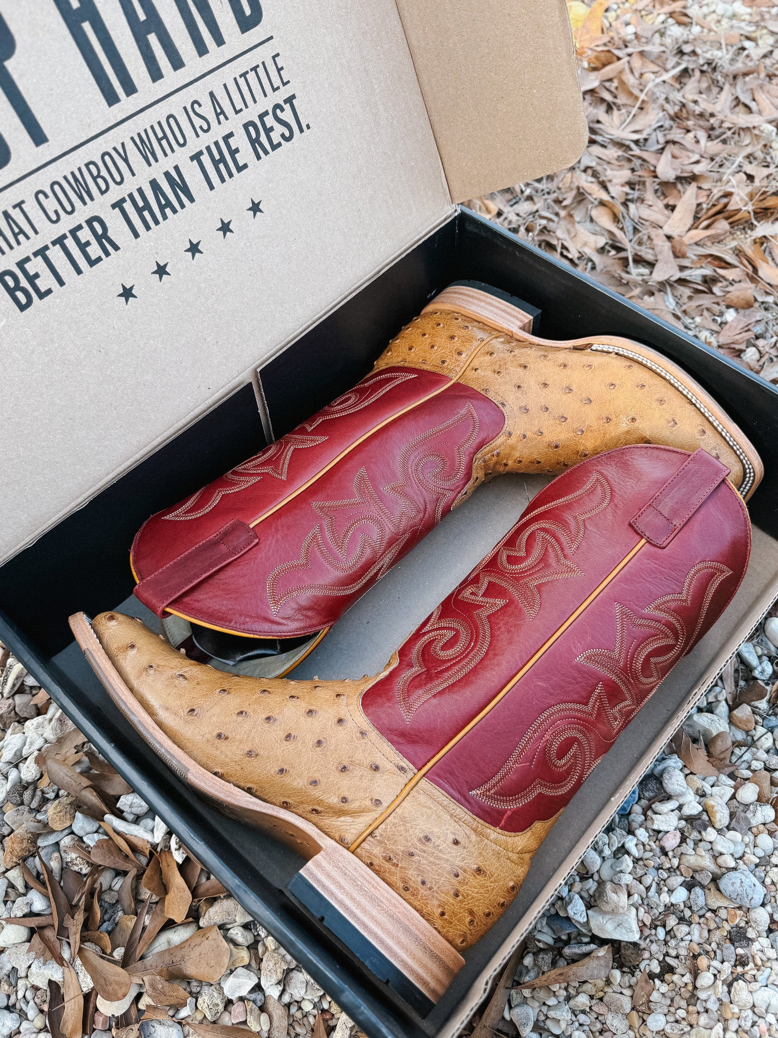 Men's Horse Power Red Station Antique Saddle Full Quill Ostrich Boots