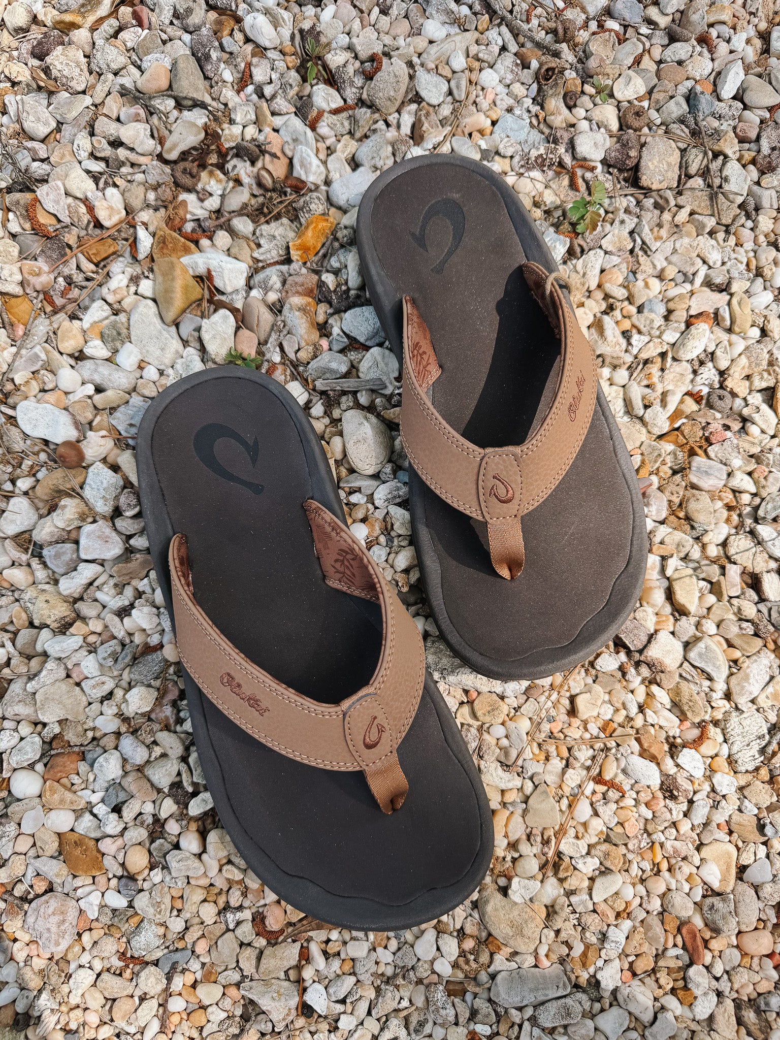 Men's Olukai Ohana Sandals in Tan/Java