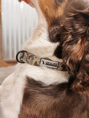 Local Boy | Dog Collar - Localflage Forest