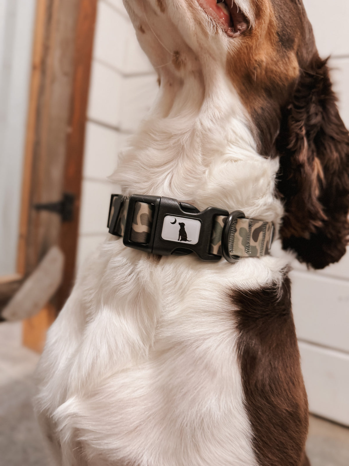 Local Boy | Dog Collar - Localflage Forest
