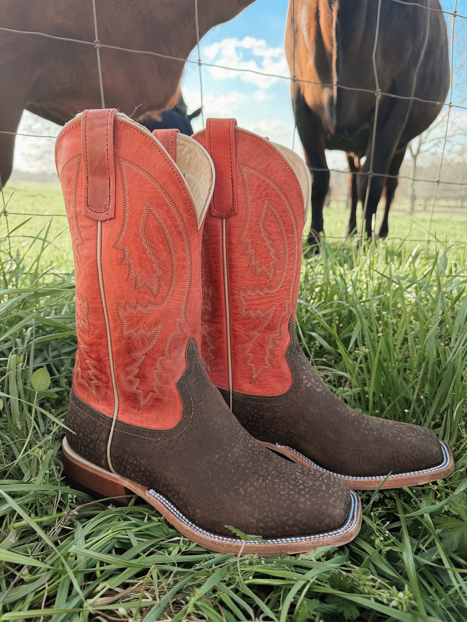 Men's BC Exclusive Anderson Bean Hungry Hippo Boots