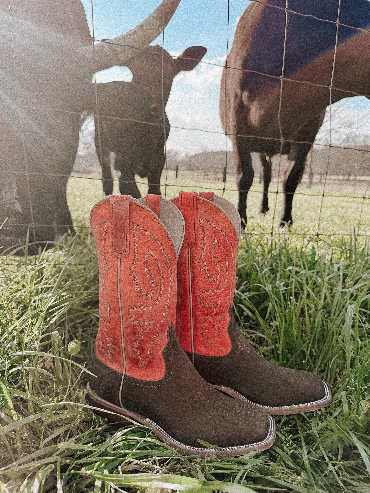 Men's BC Exclusive Anderson Bean Hungry Hippo Boots