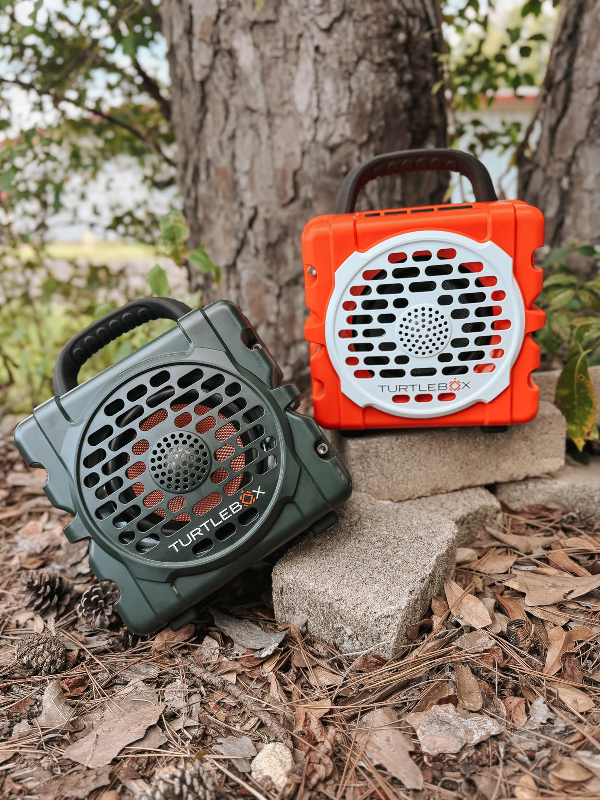 TurtleBox Original: Cub in Orange