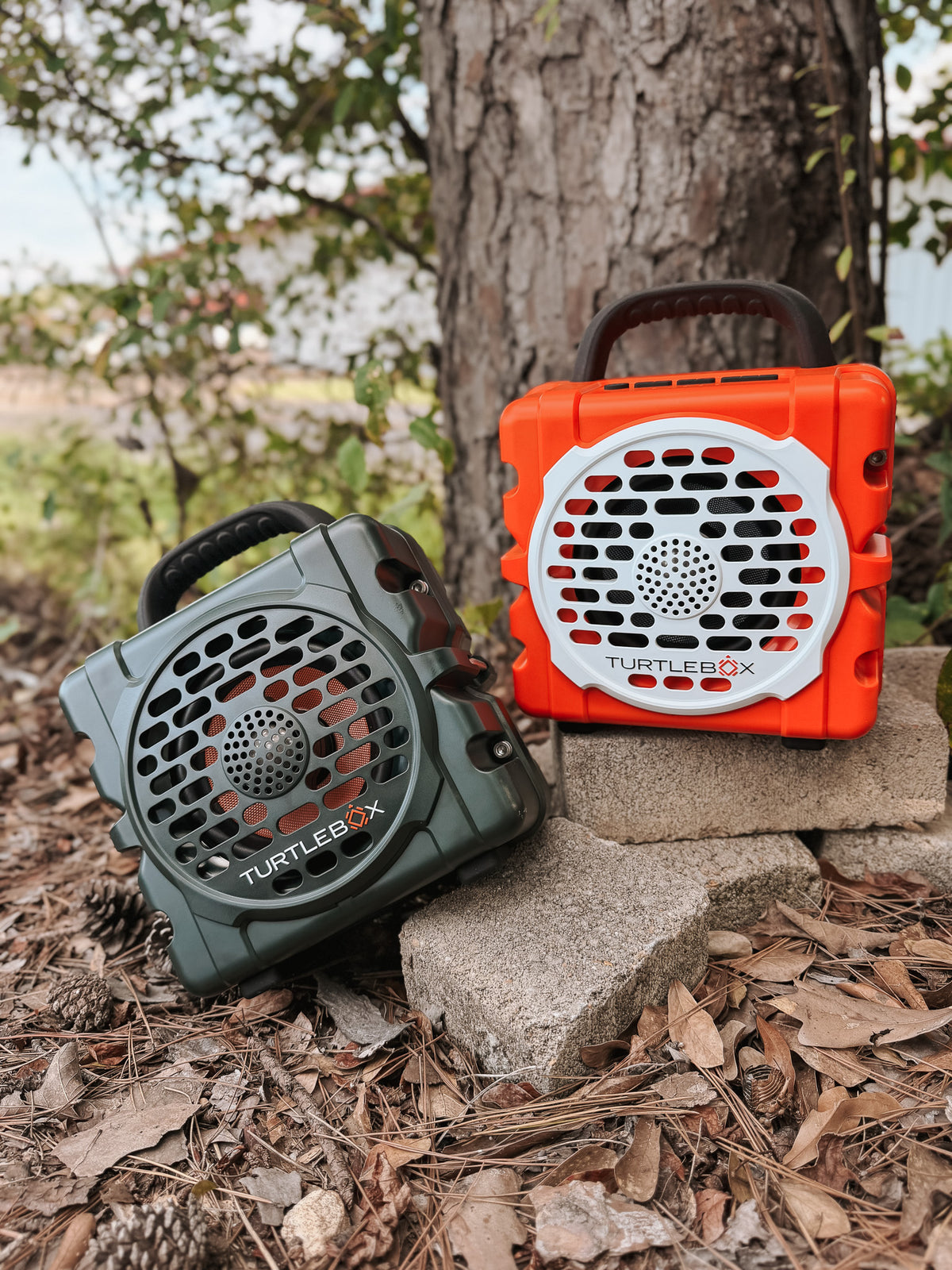 TurtleBox Original: Cub in Orange
