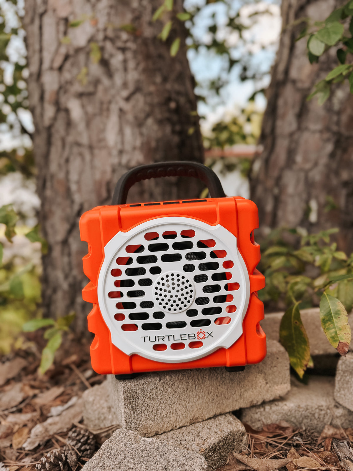 TurtleBox Original: Cub in Orange