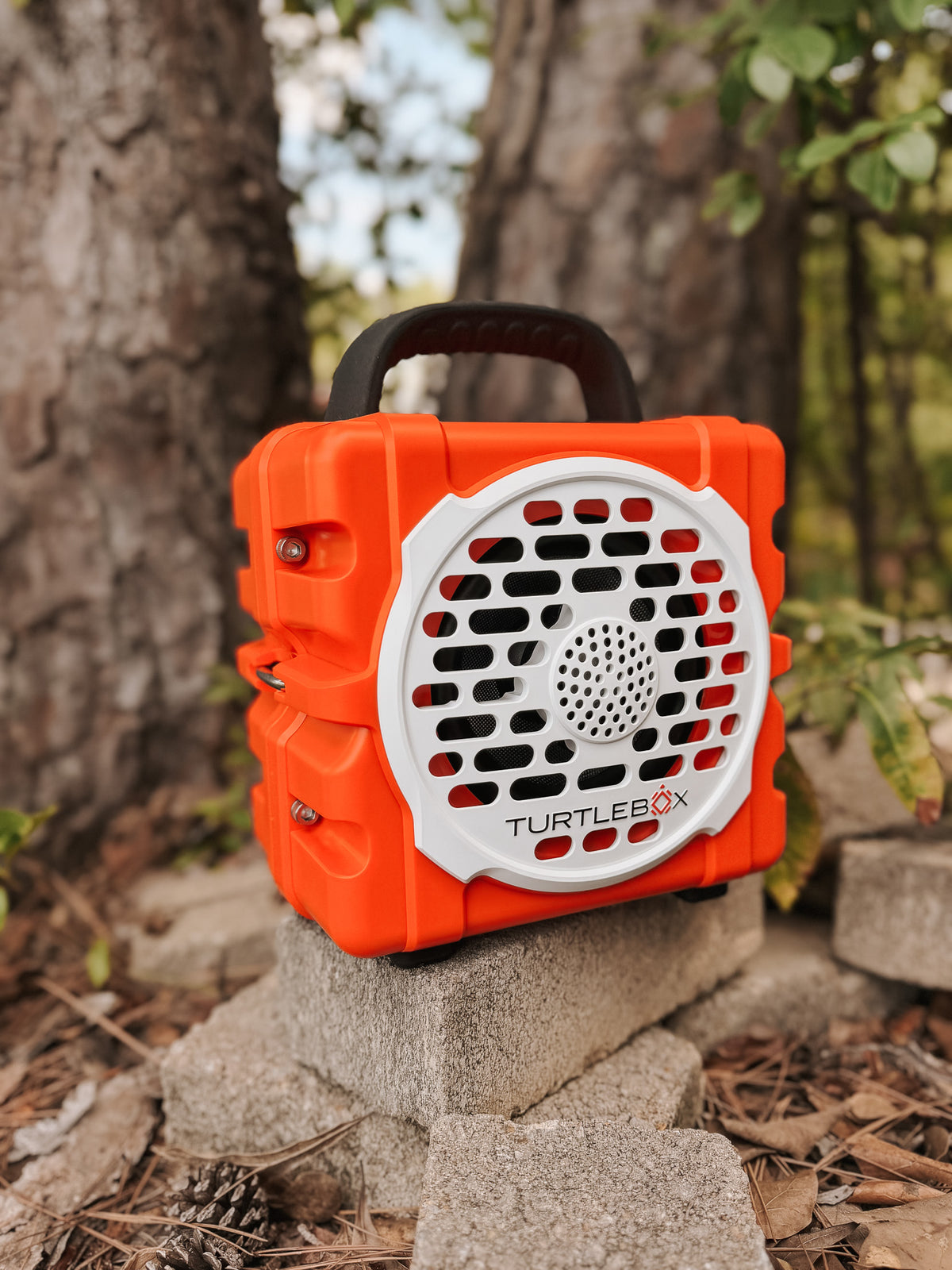 TurtleBox Original: Cub in Orange