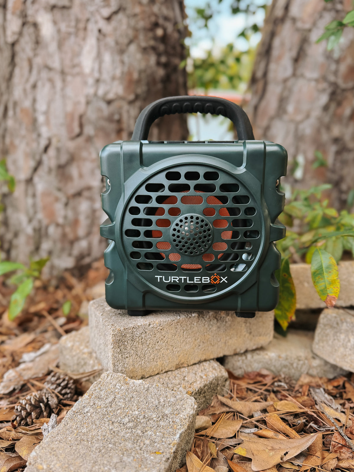 Turtlebox Original: Cub in Green