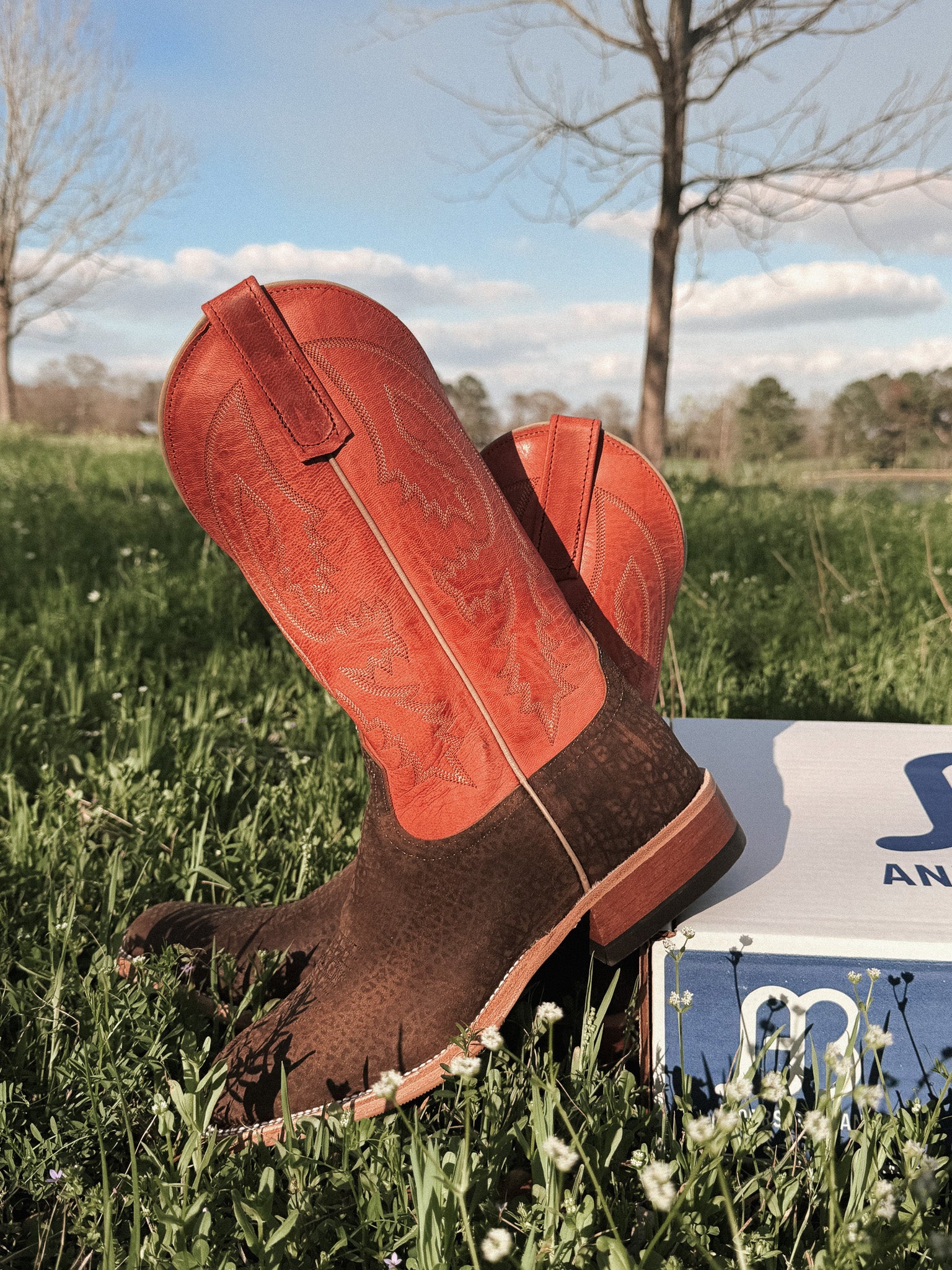 Men's BC Exclusive Anderson Bean Hungry Hippo Boots