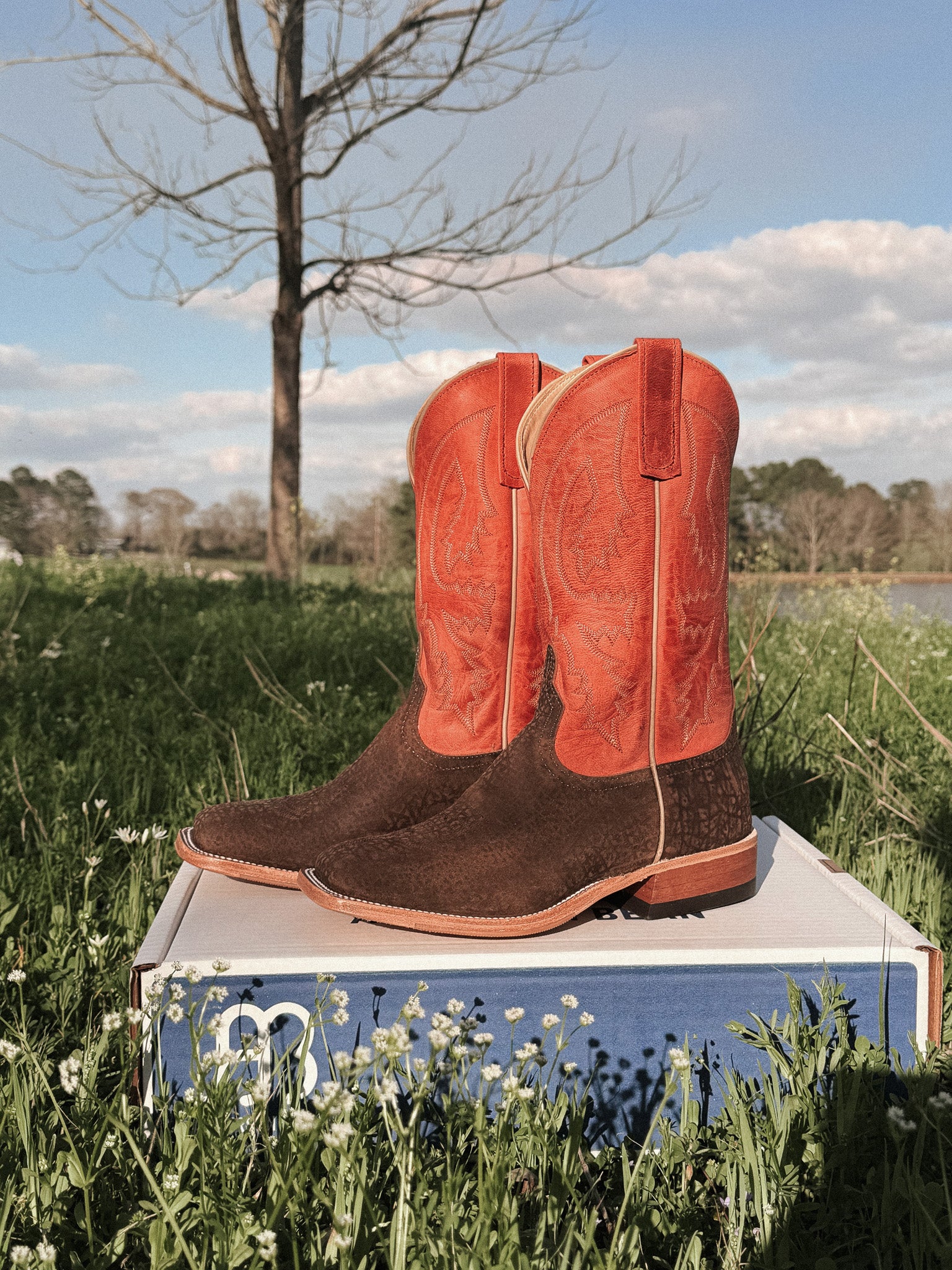 Men's BC Exclusive Anderson Bean Hungry Hippo Boots