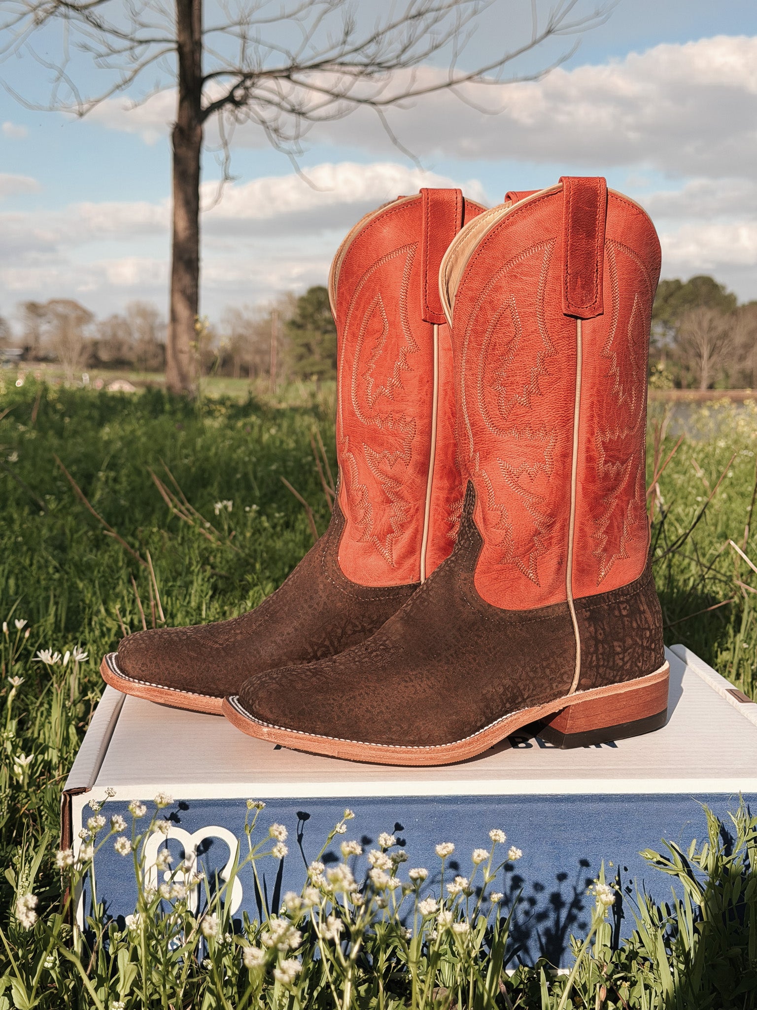 Men's BC Exclusive Anderson Bean Hungry Hippo Boots