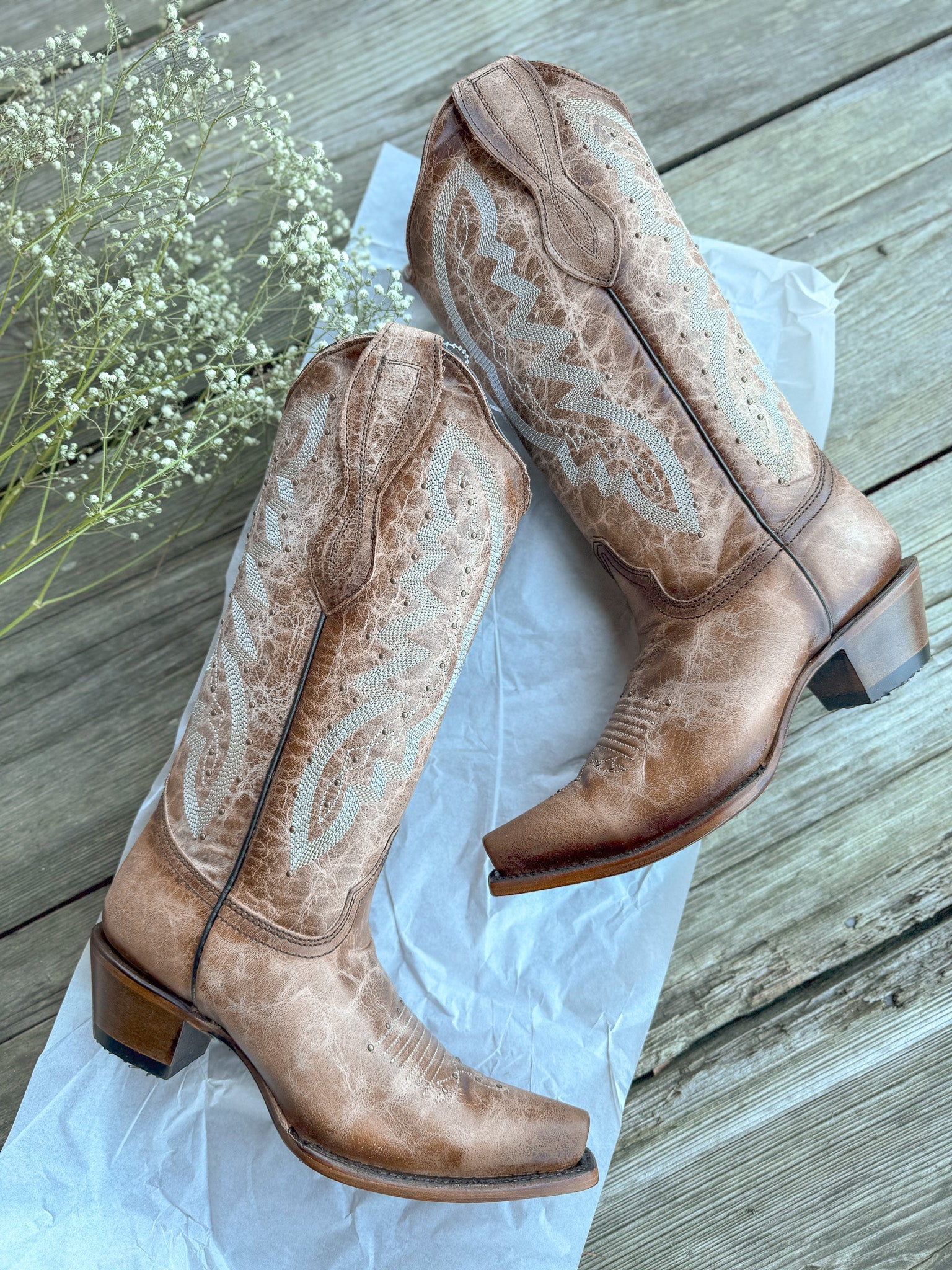 Circle G by Corral Ladies Embroidery & Studs Brown Boots