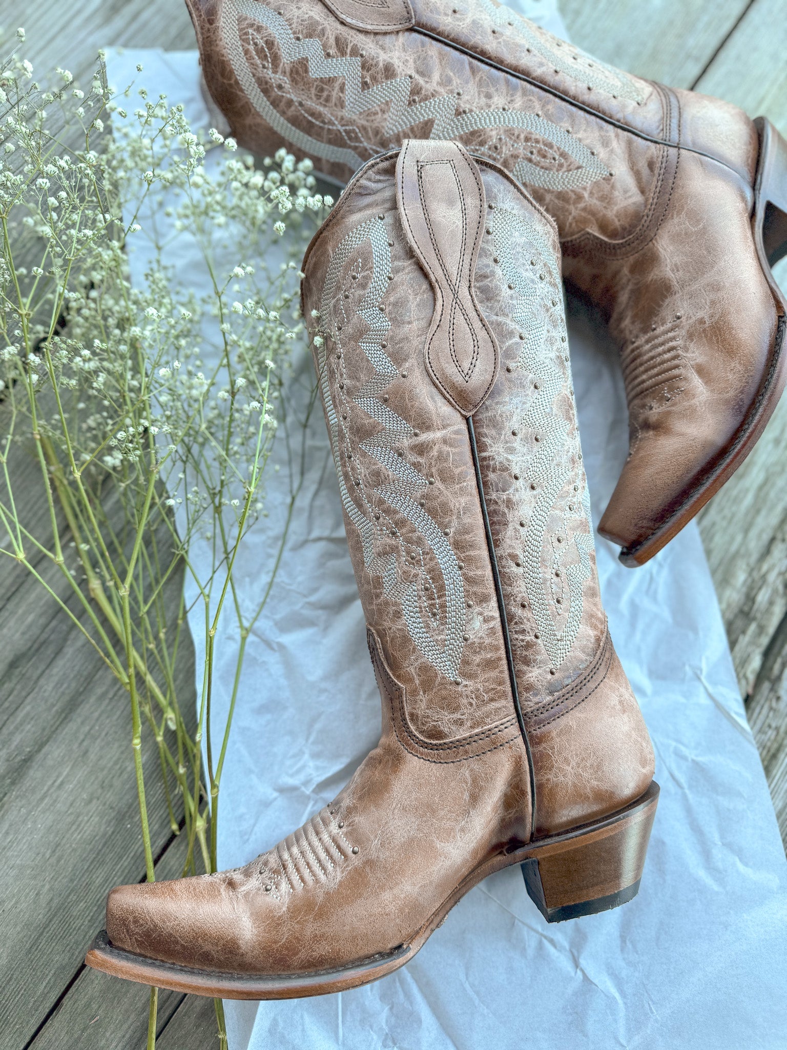 Circle G by Corral Ladies Embroidery & Studs Brown Boots