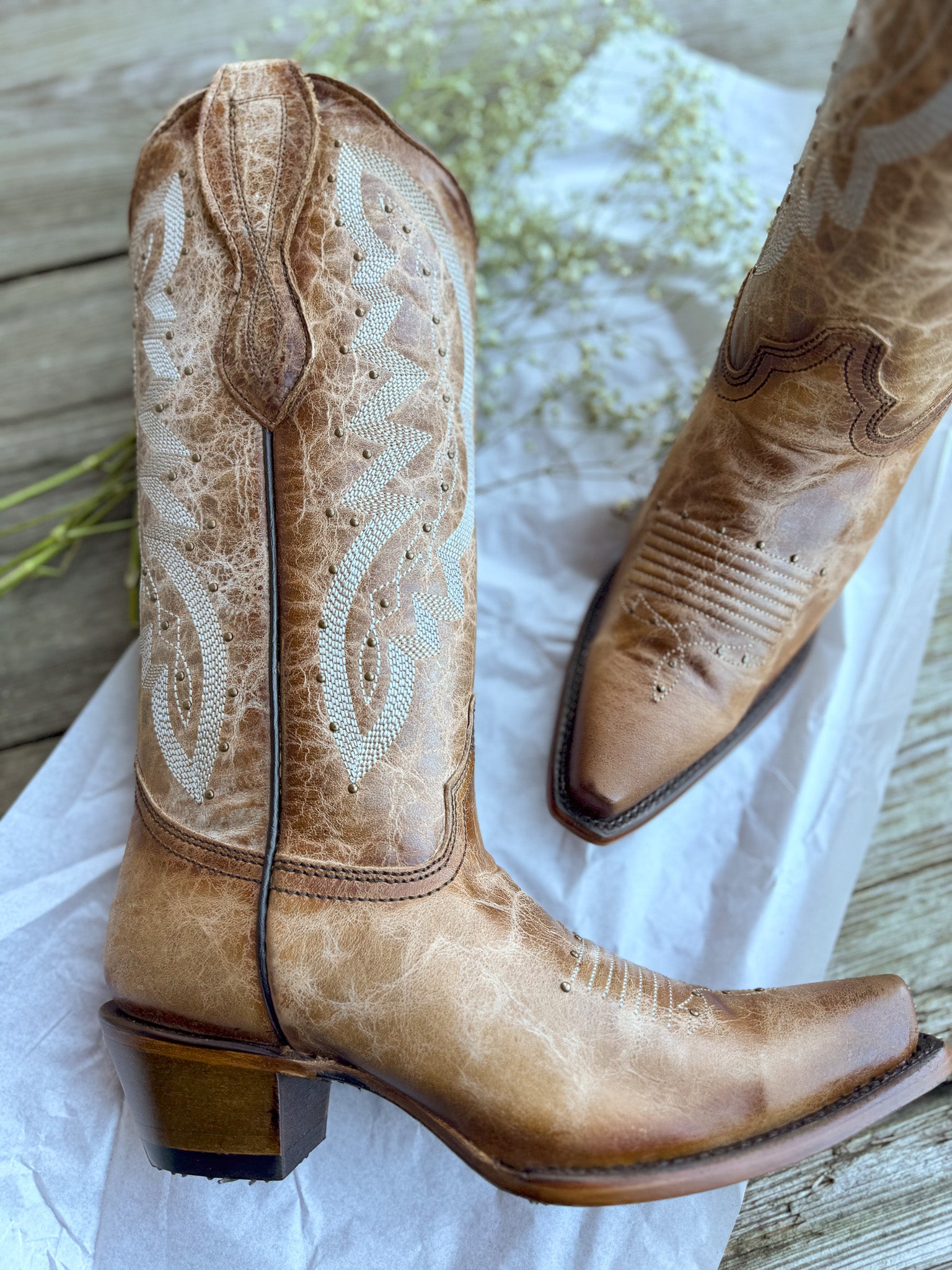 Circle G by Corral Ladies Embroidery & Studs Brown Boots