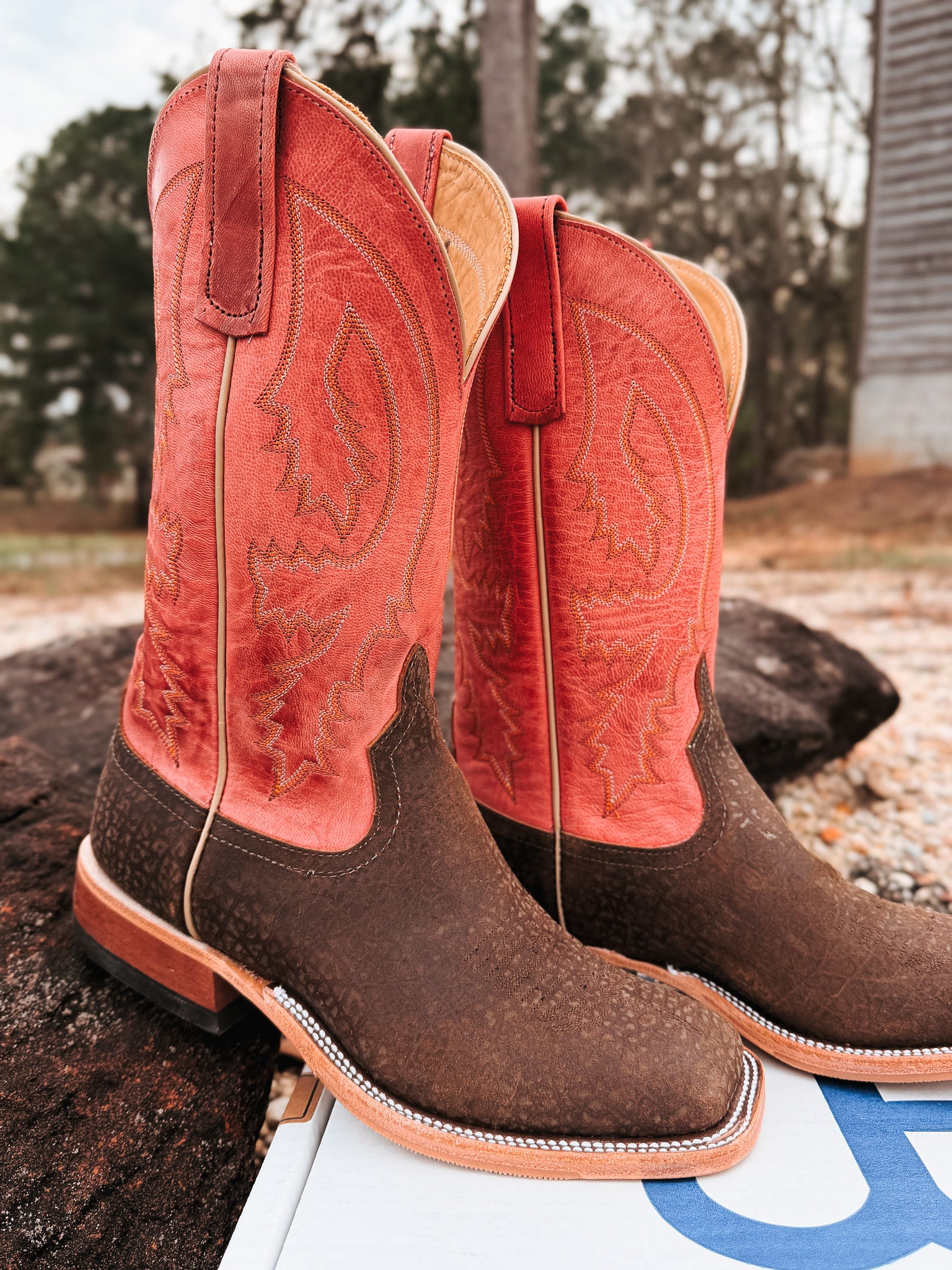 Men's BC Exclusive Anderson Bean Hungry Hippo Boots