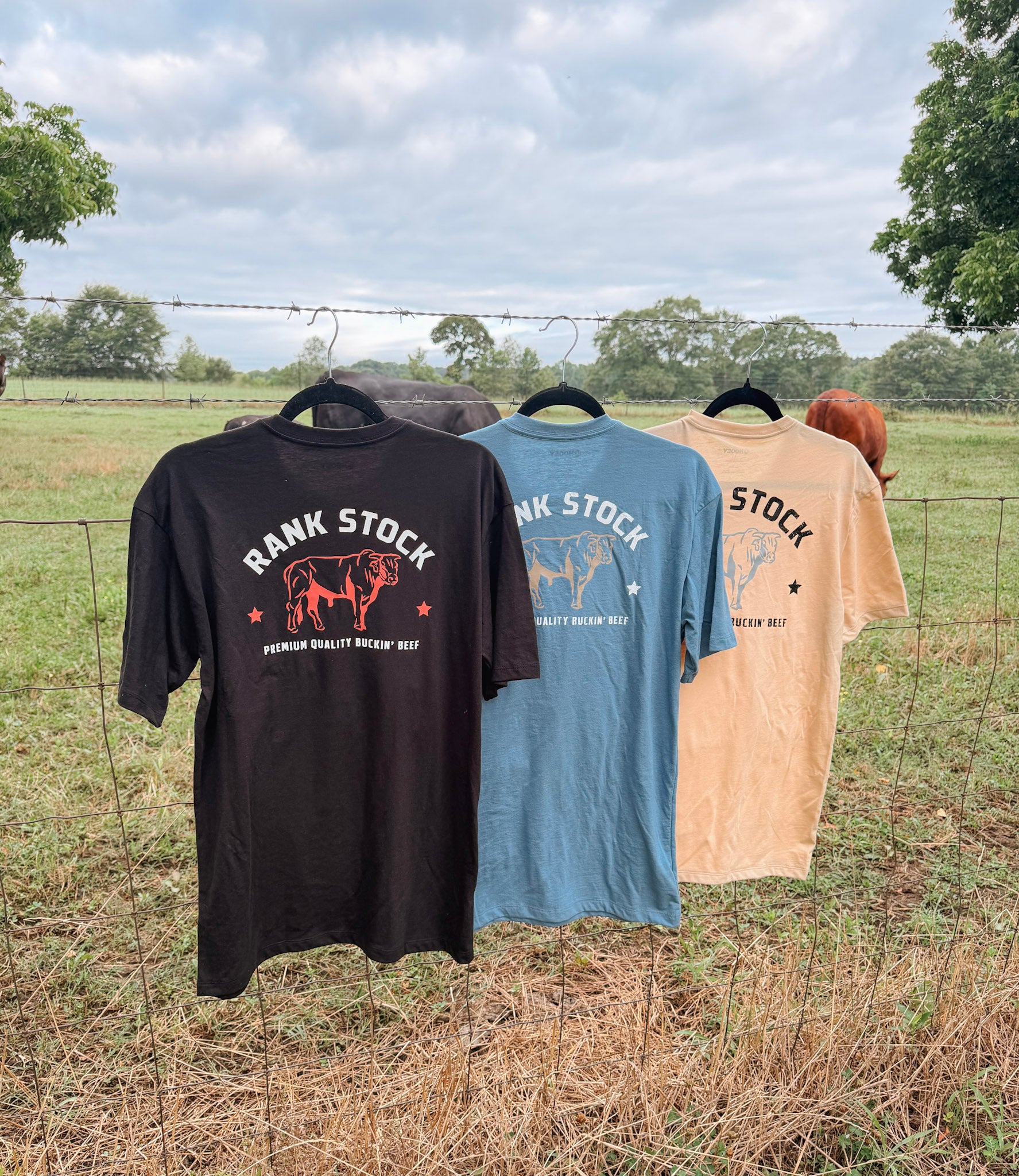 Men's Hooey Rank Stock T-Shirt in Tan