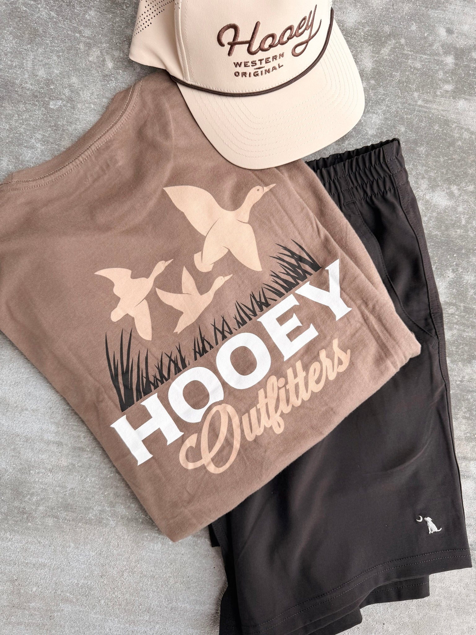 Men's Hooey Decoy Outfitter T-Shirt in Brown
