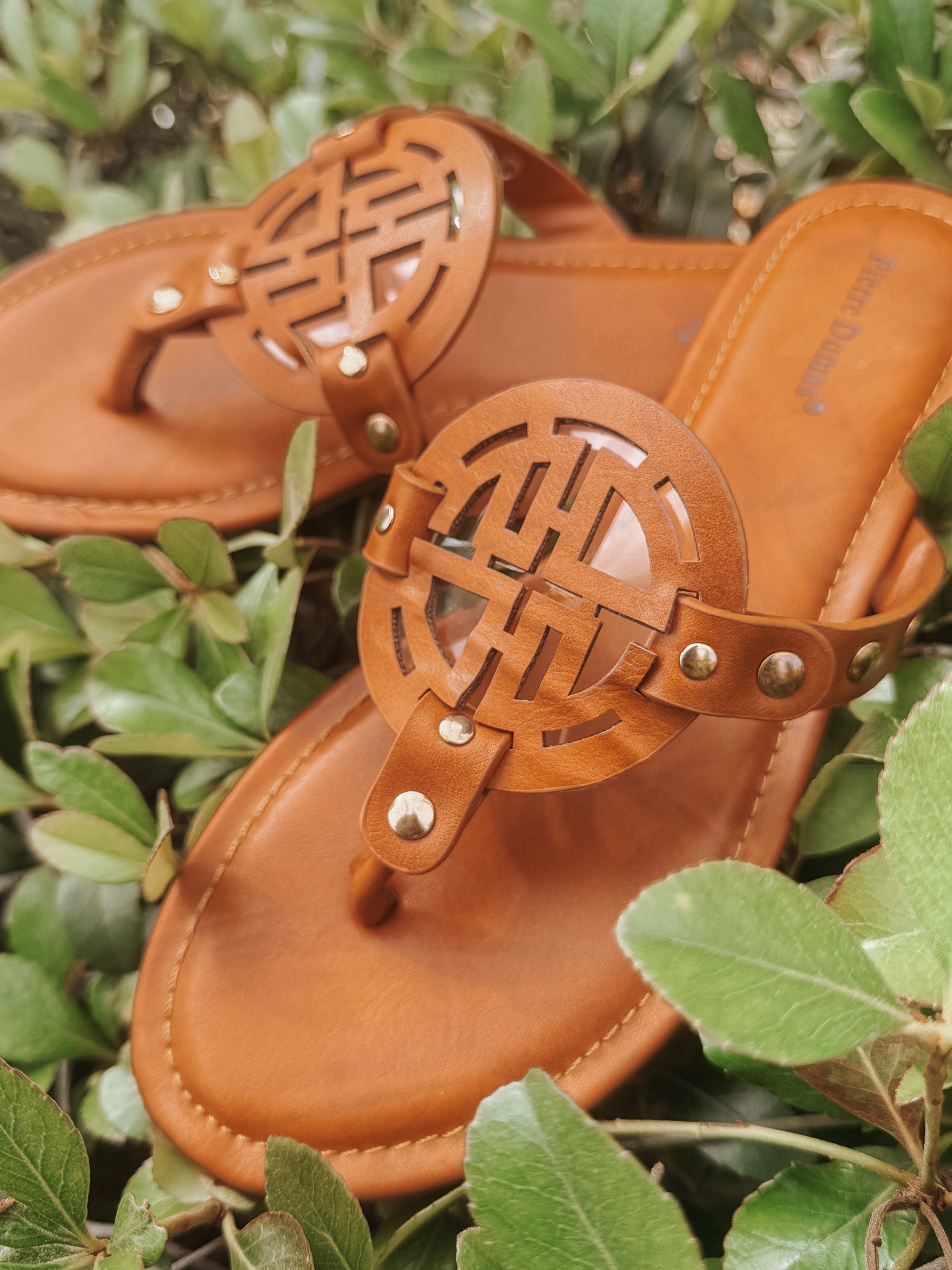 Canyon Cutie Sandal