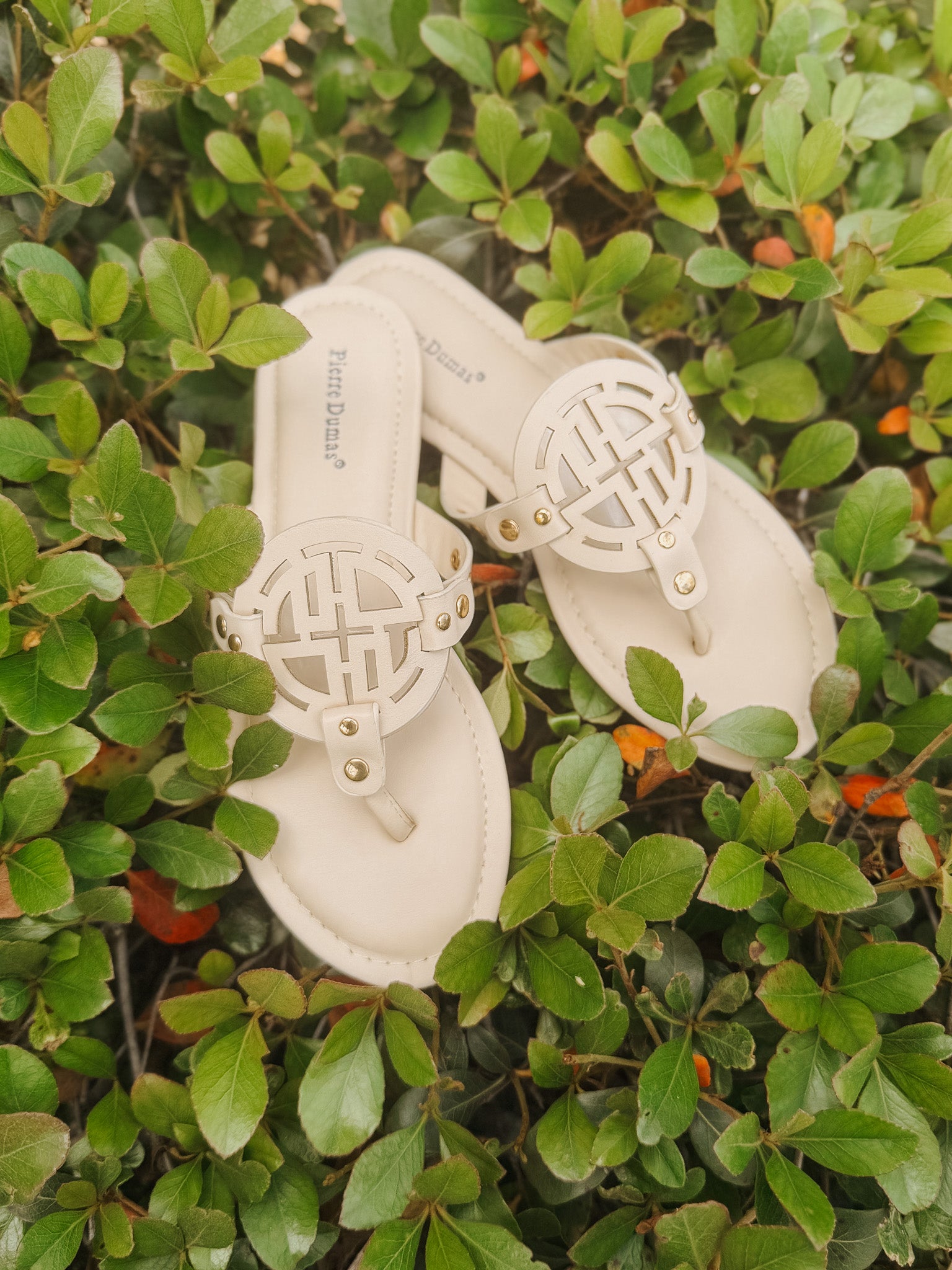 Sandstone Chic Sandal
