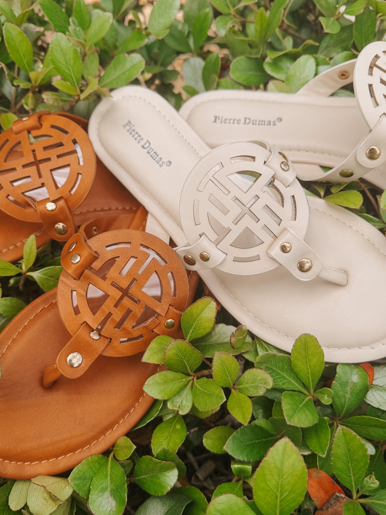 Sandstone Chic Sandal