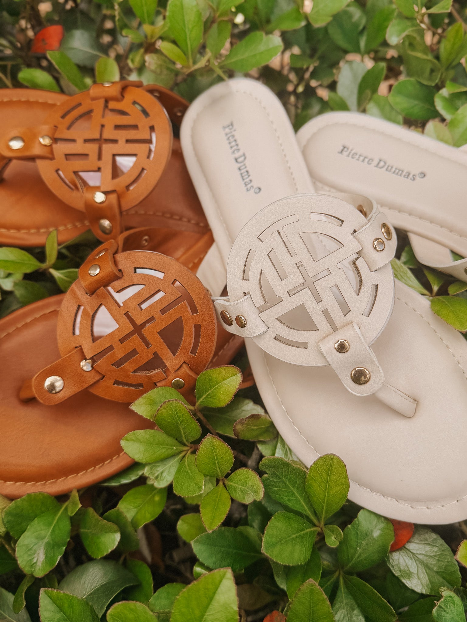 Sandstone Chic Sandal