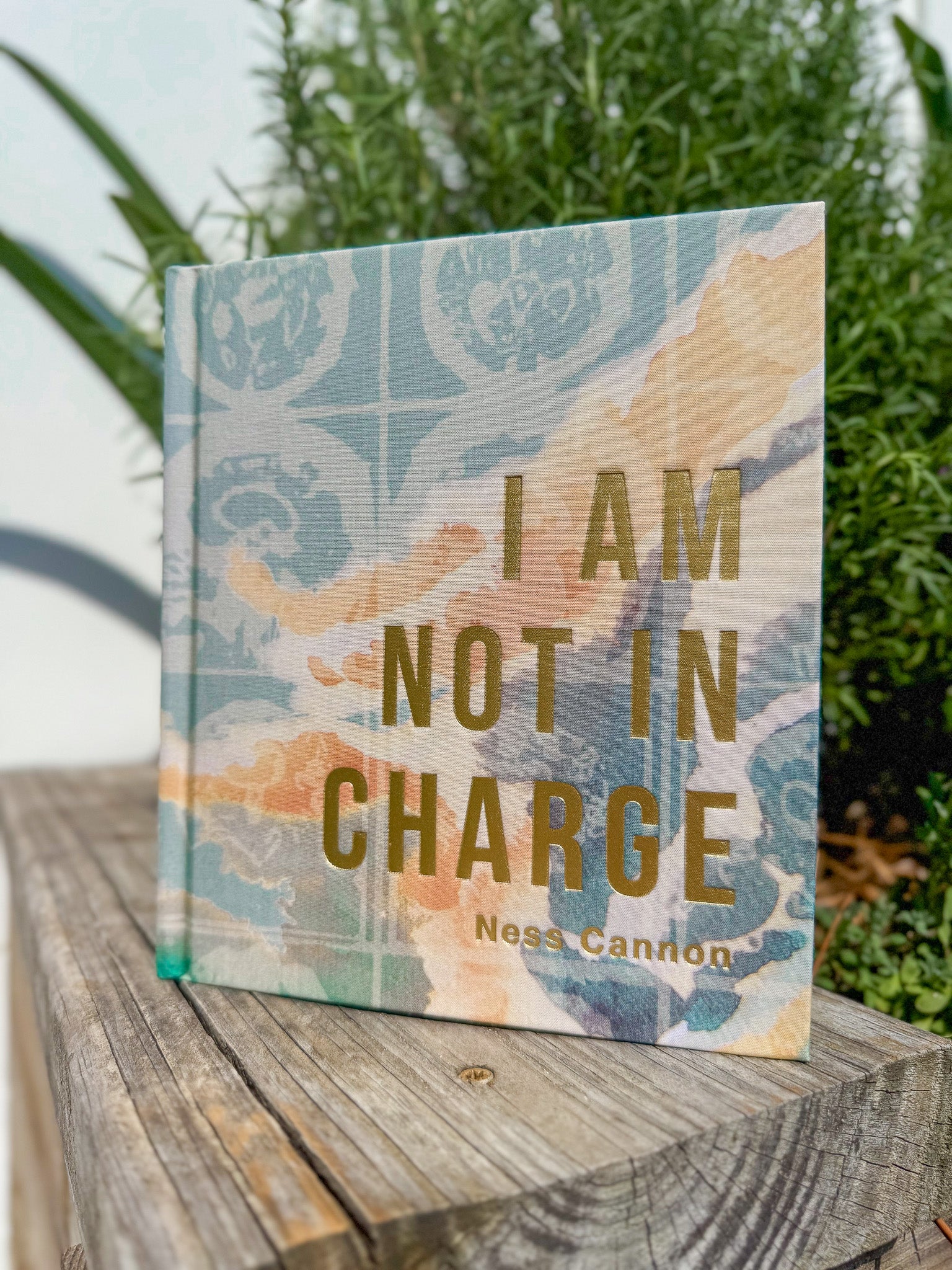 Hosanna Revival I Am Not In Charge Study Book