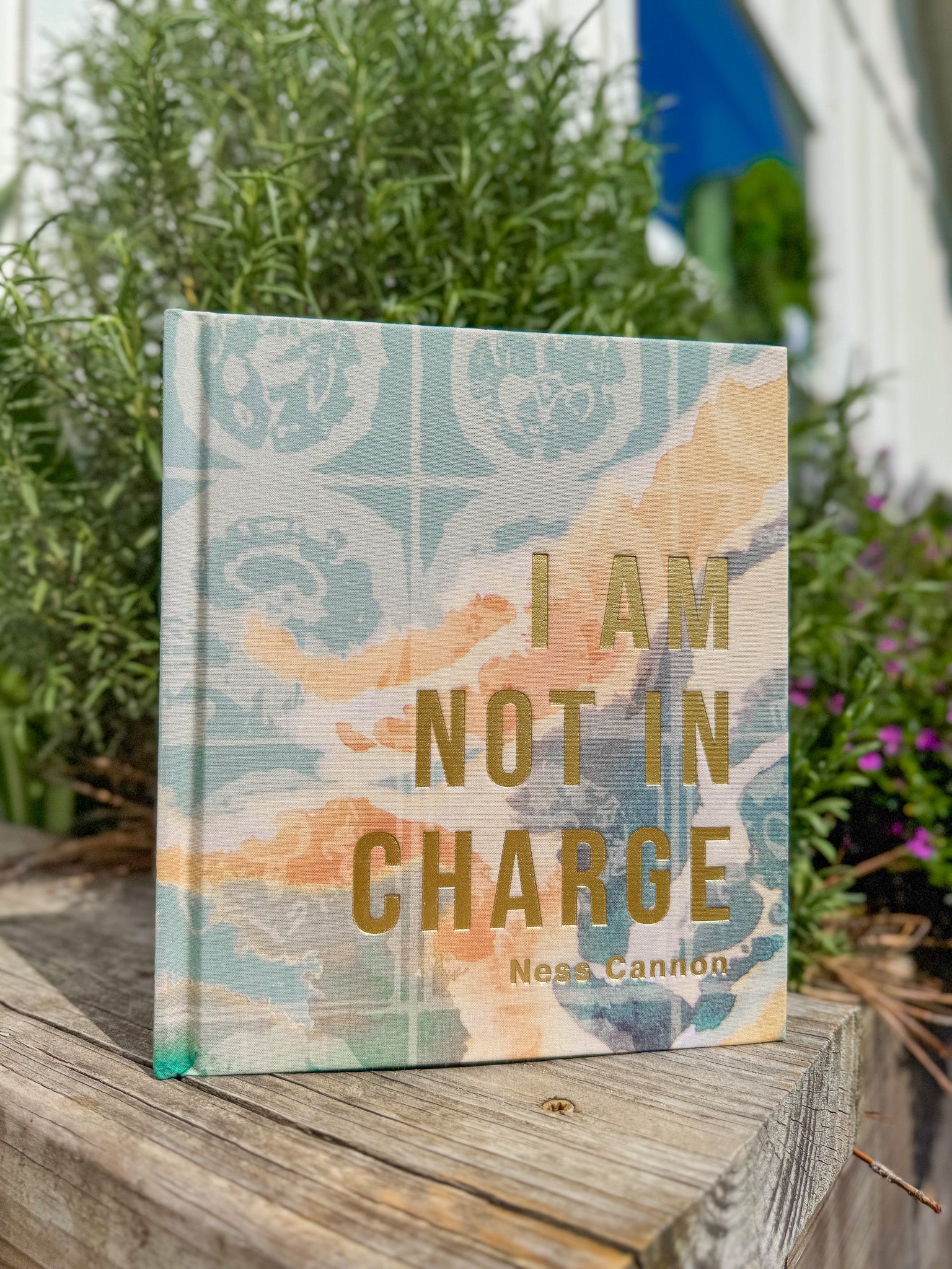 Hosanna Revival I Am Not In Charge Study Book