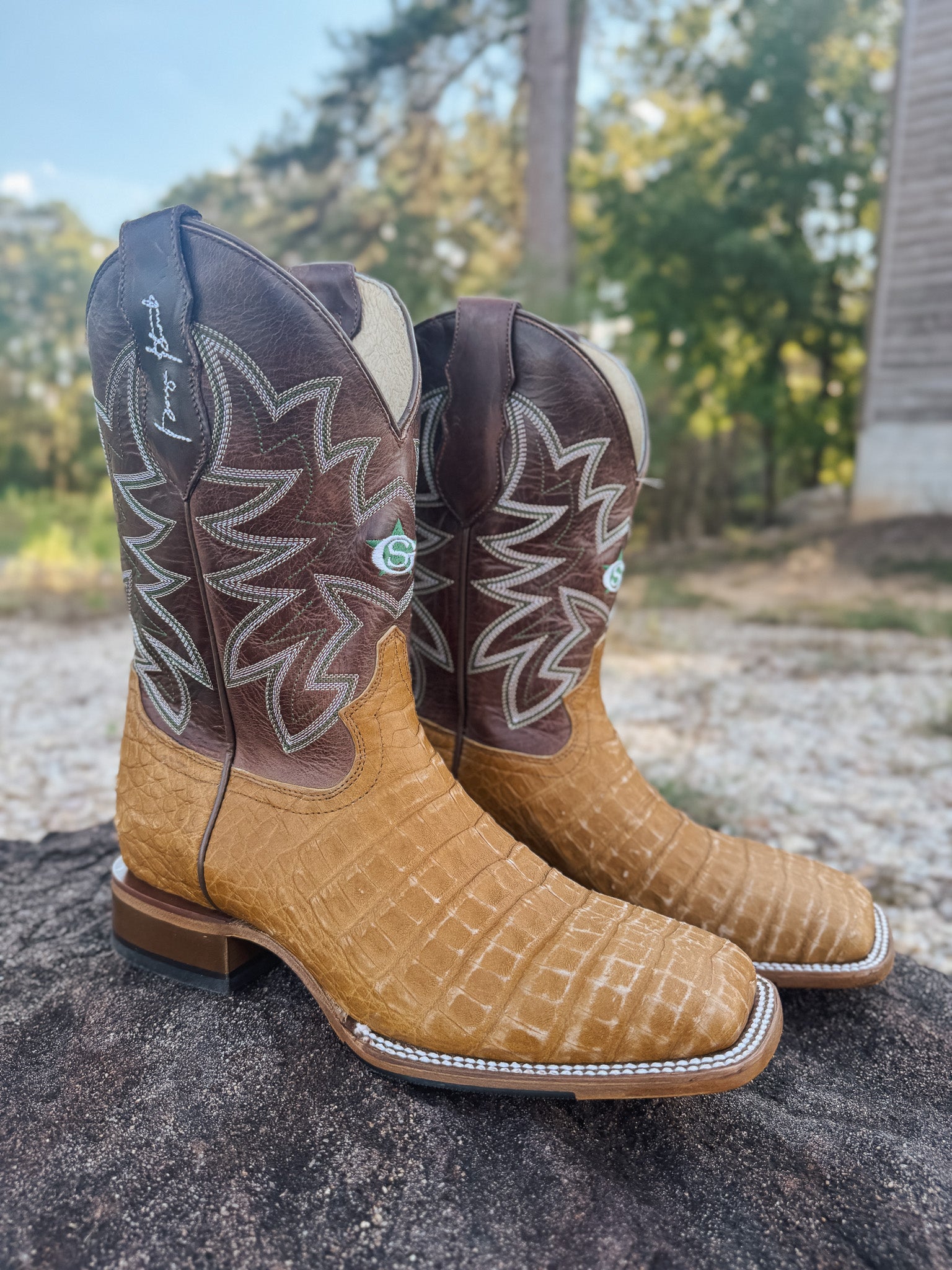 Men's Justin San Antone 11" Caiman Boots