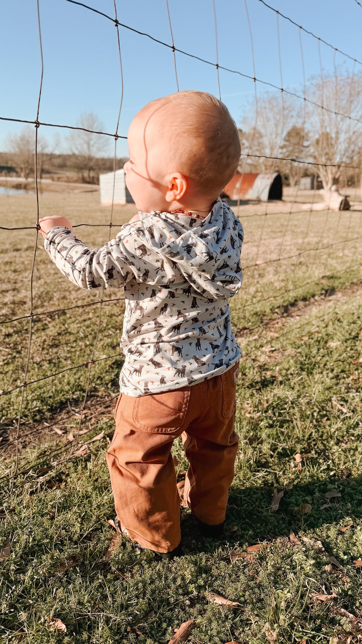 Carhartt Infant & Toddler Canvas Dungaree Pants in Carhartt Brown