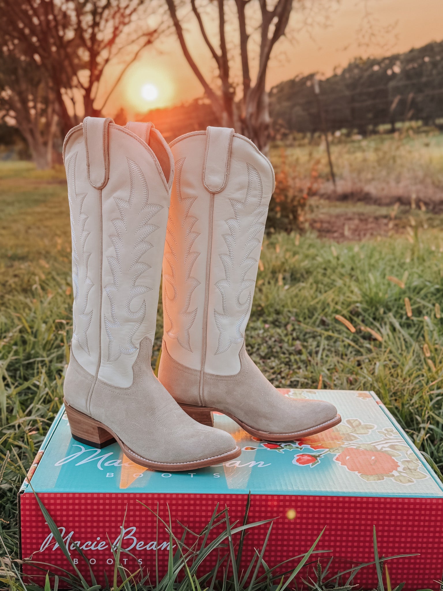 Women's Macie Bean Pearl Snap Queen Suede Boots