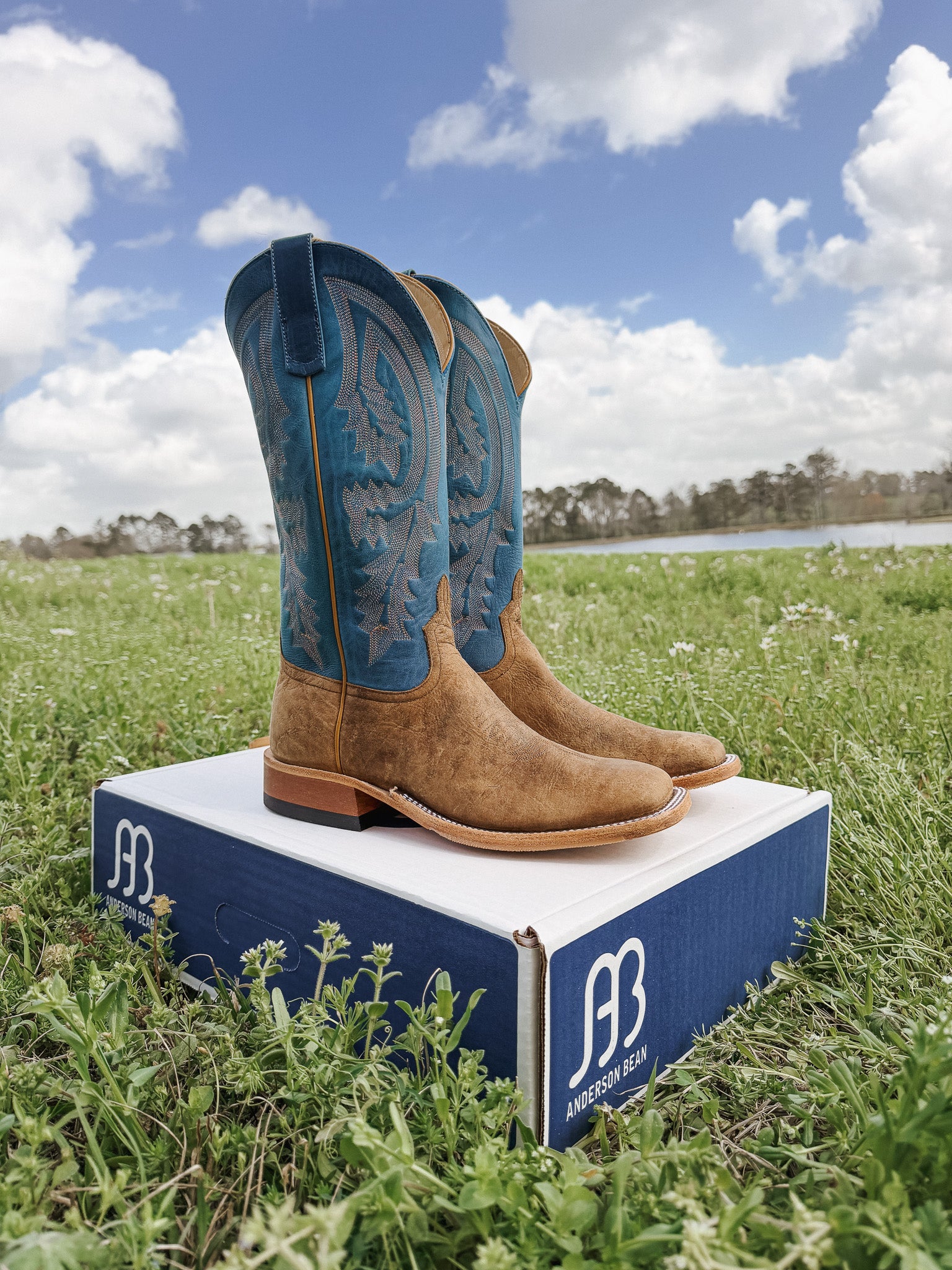 Men's Anderson Bean Sky Blue Avatar Bison Boots