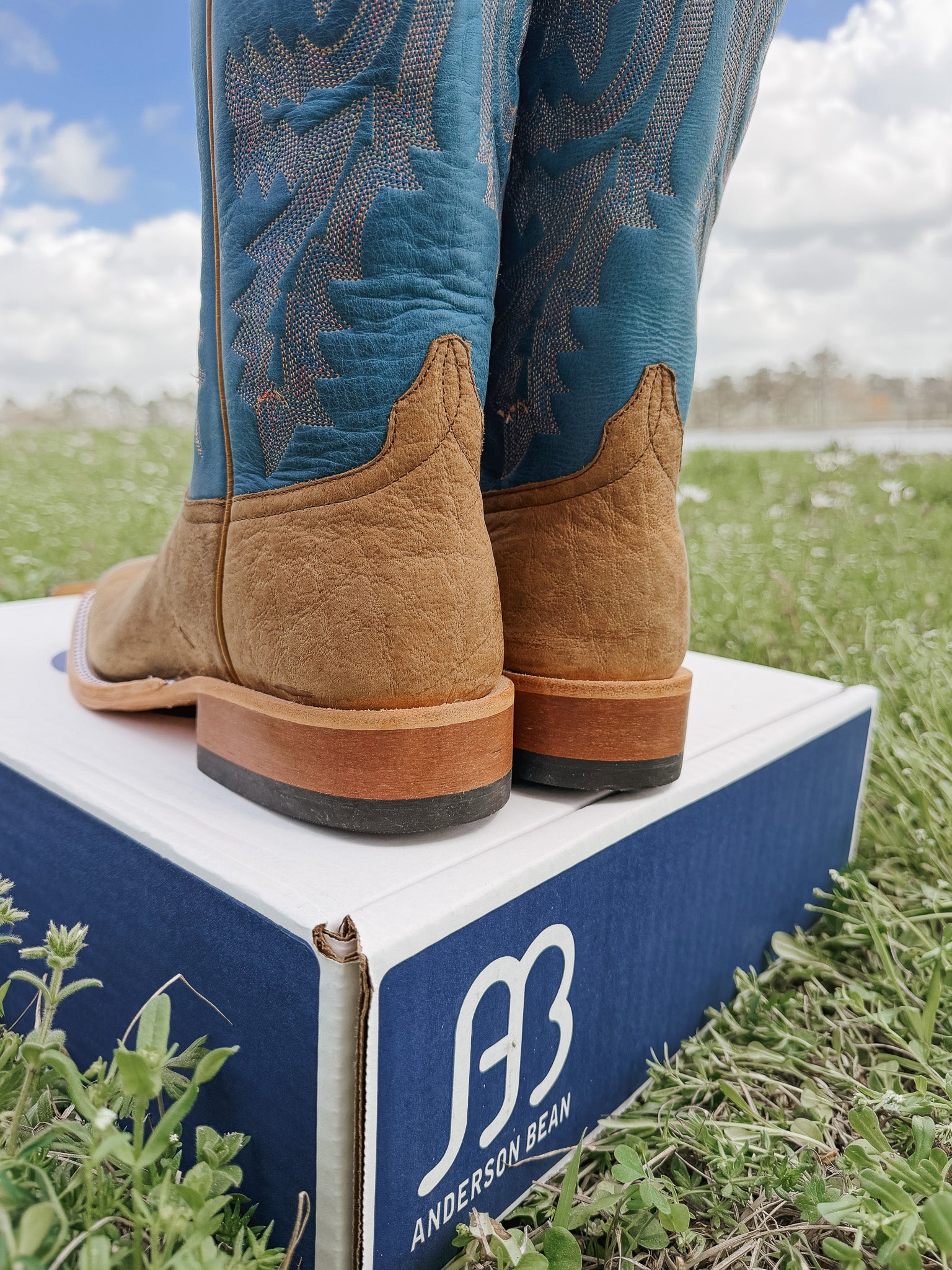 Men's Anderson Bean Sky Blue Avatar Bison Boots