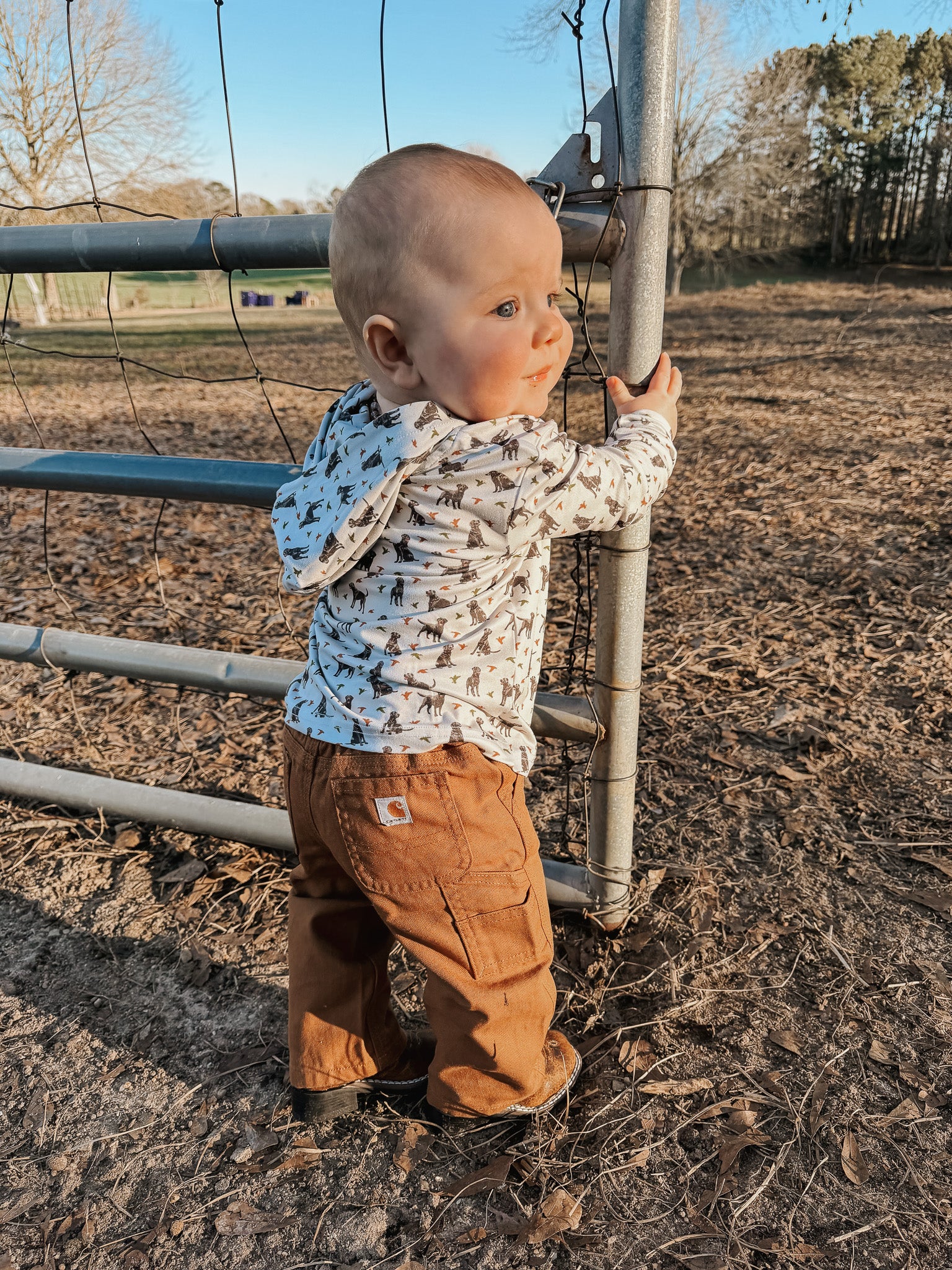 Carhartt Infant & Toddler Canvas Dungaree Pants in Carhartt Brown