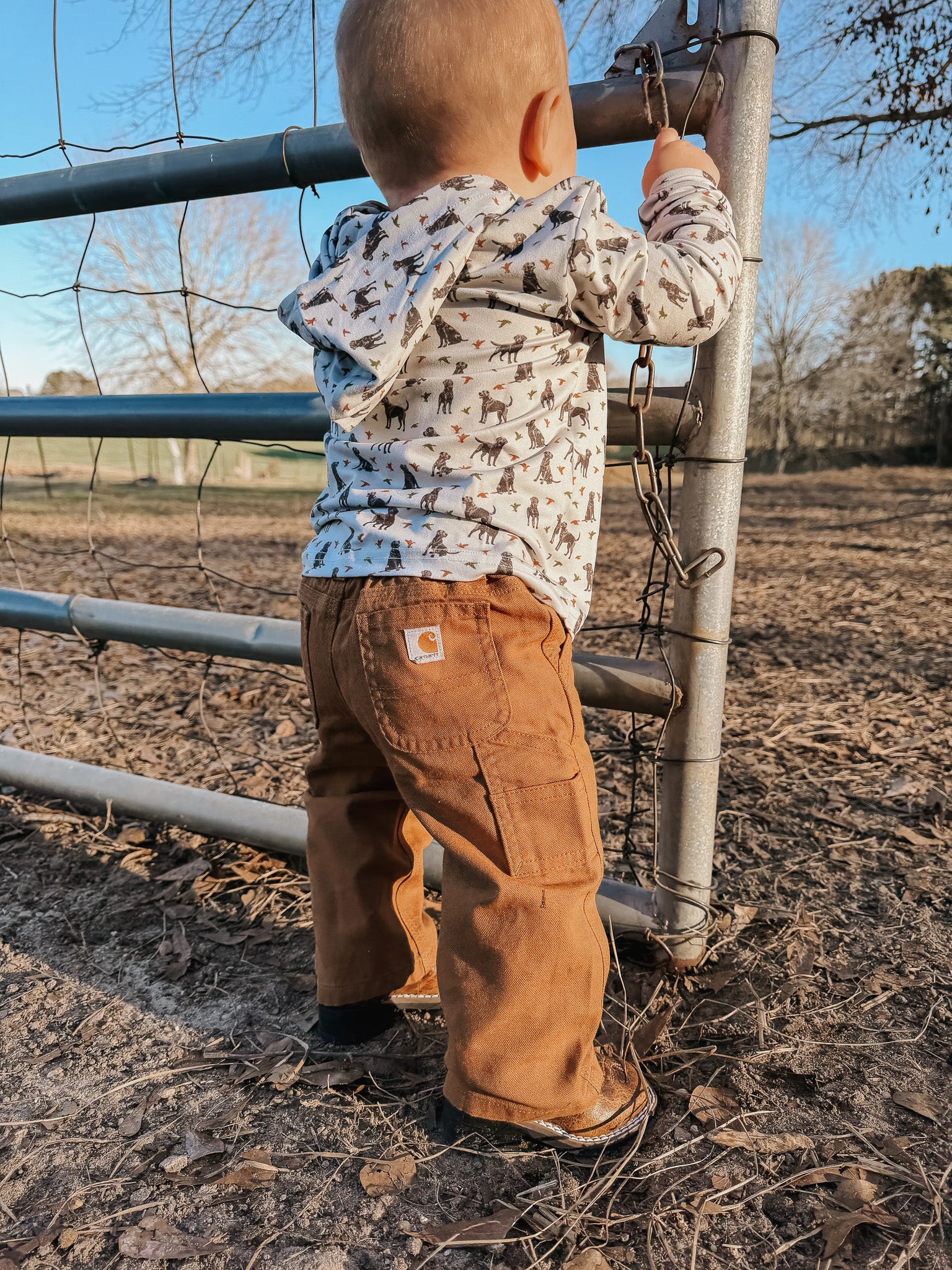 Carhartt Infant & Toddler Canvas Dungaree Pants in Carhartt Brown