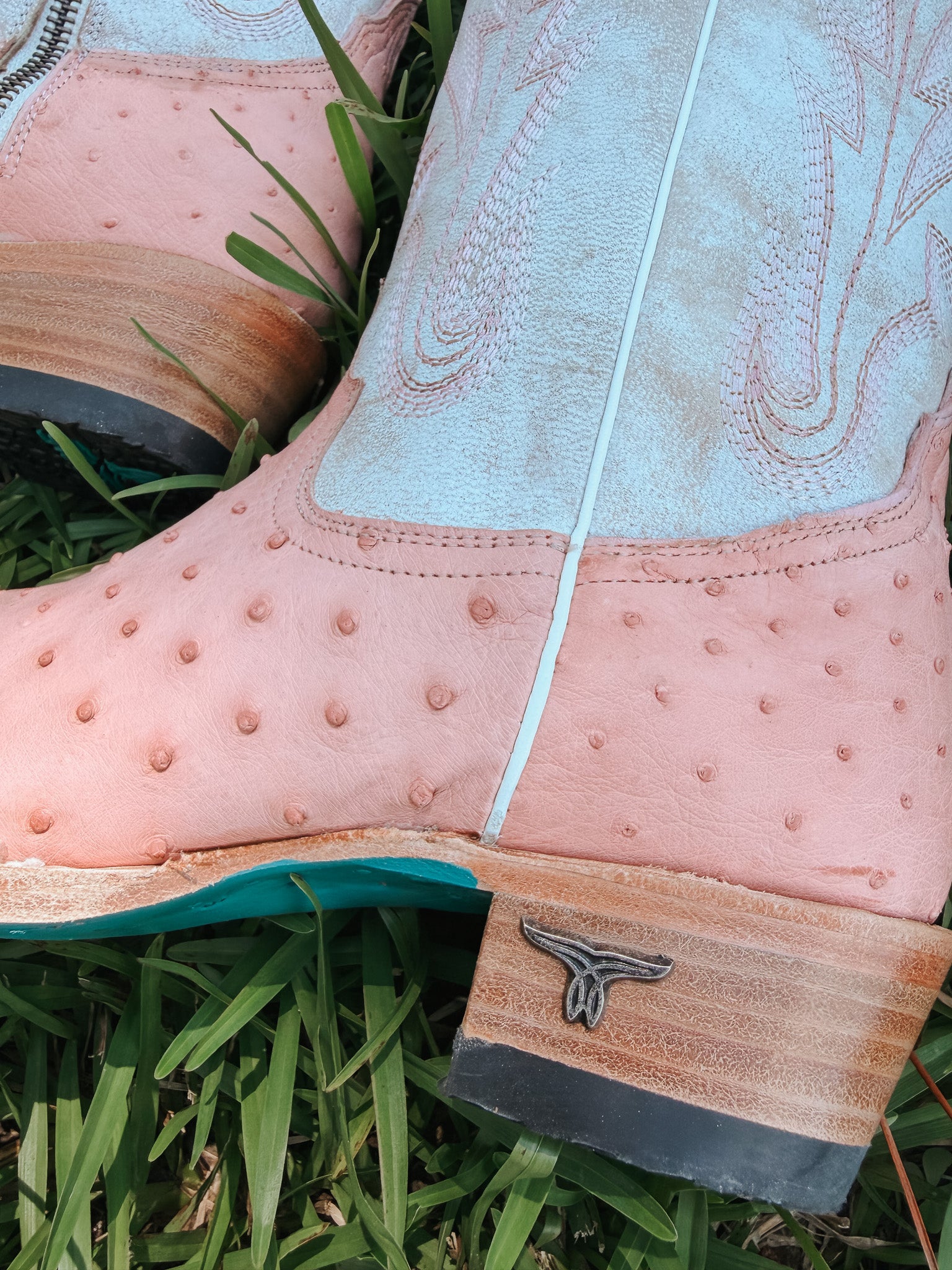 Women's Lane Skylight Boot in Blush Ostrich
