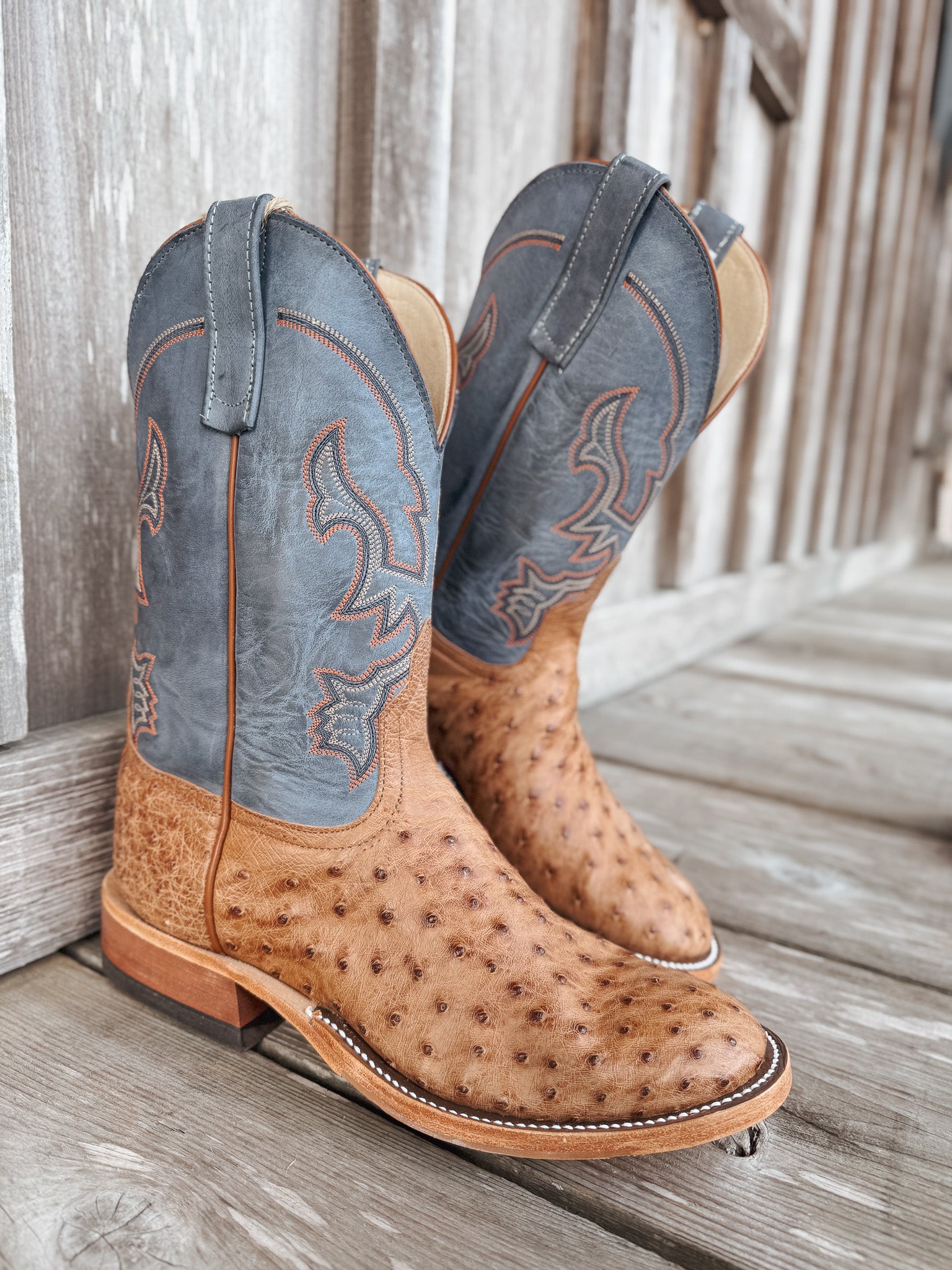 Men's Anderson Bean BC Exclusive Blue Aged Brandy Ostrich Boot