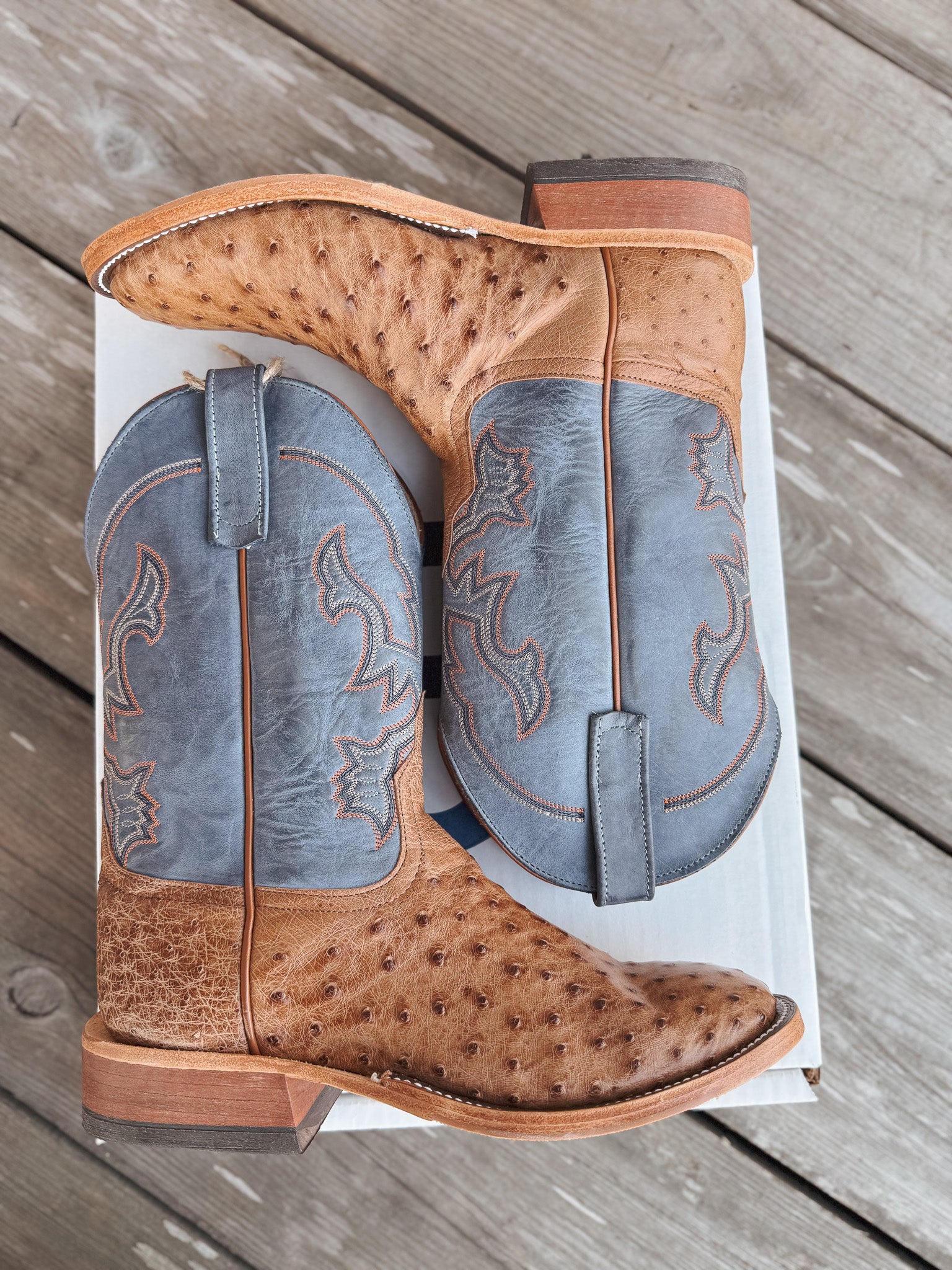 Men's Anderson Bean BC Exclusive Blue Aged Brandy Ostrich Boot