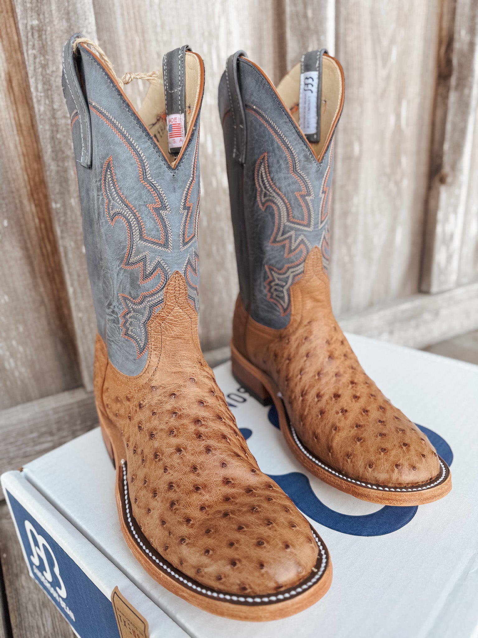 Men's Anderson Bean BC Exclusive Blue Aged Brandy Ostrich Boot