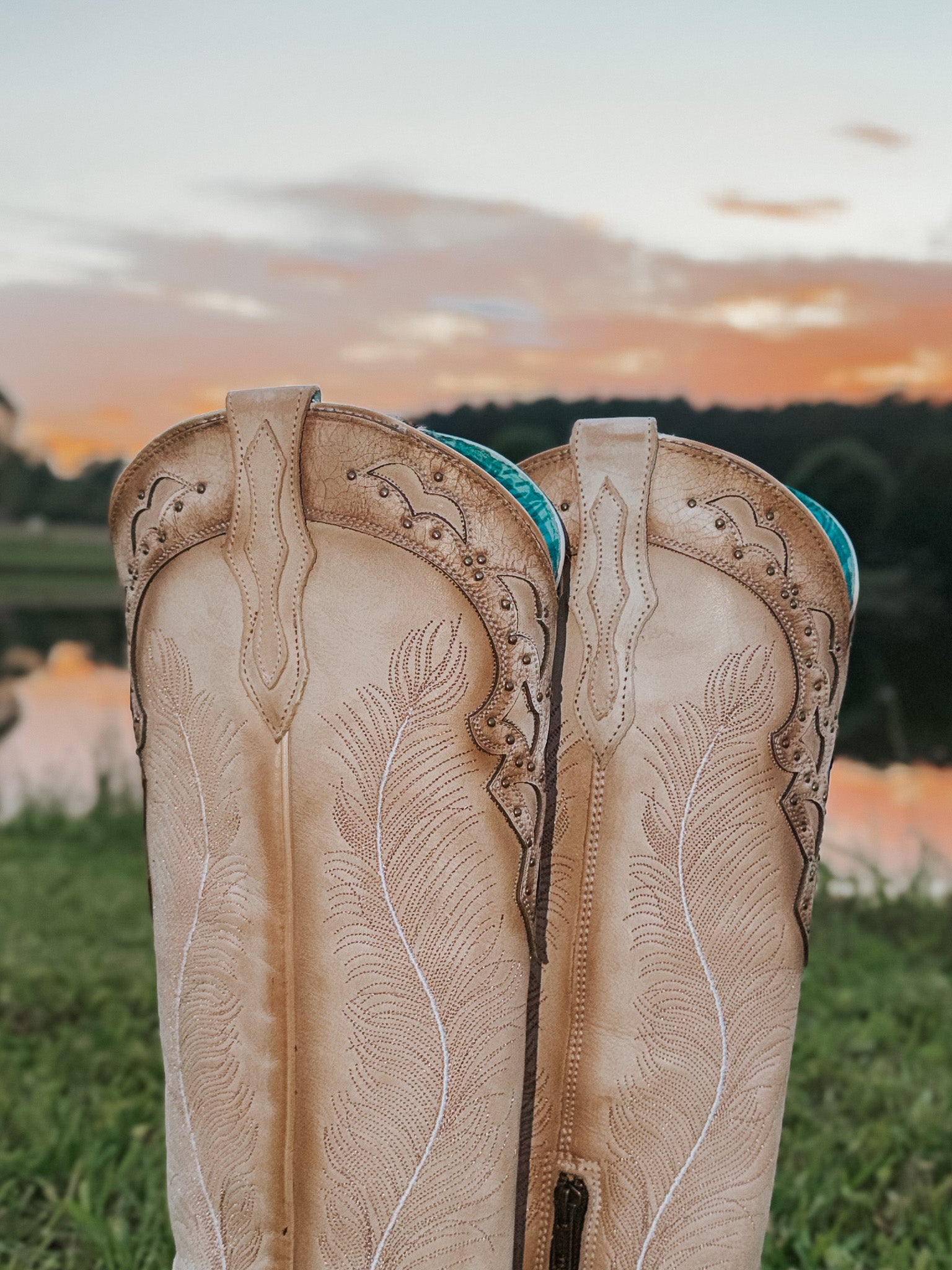 Women's Corral Feathered Embroidery Crackled Western Boot